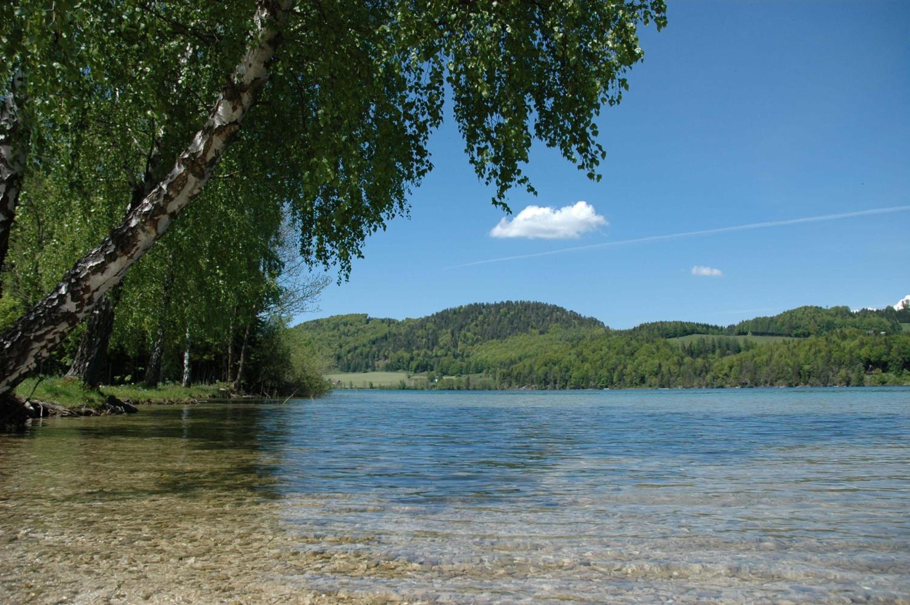 Apart-Pension Wesenauerhof