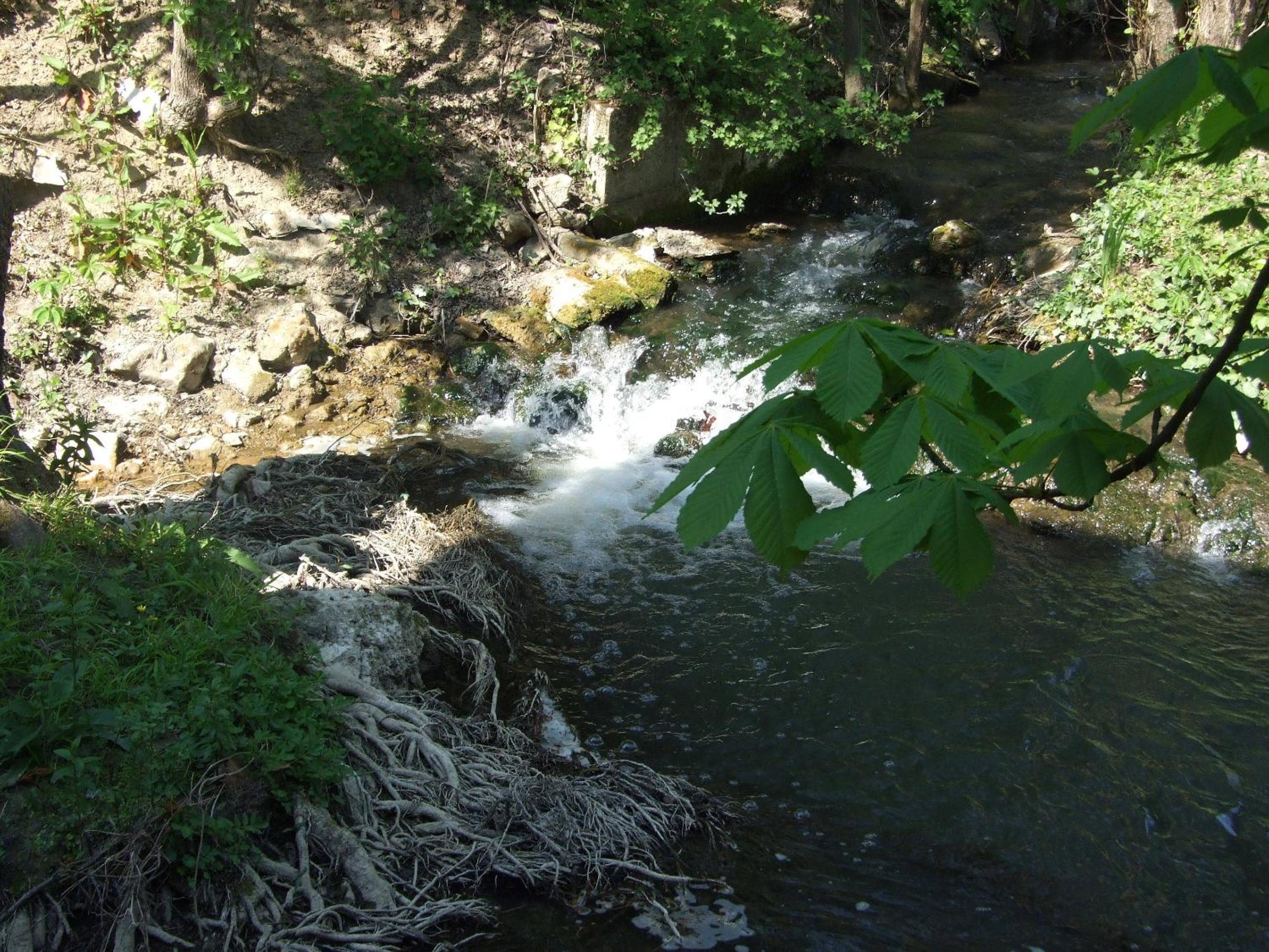 Photo 12