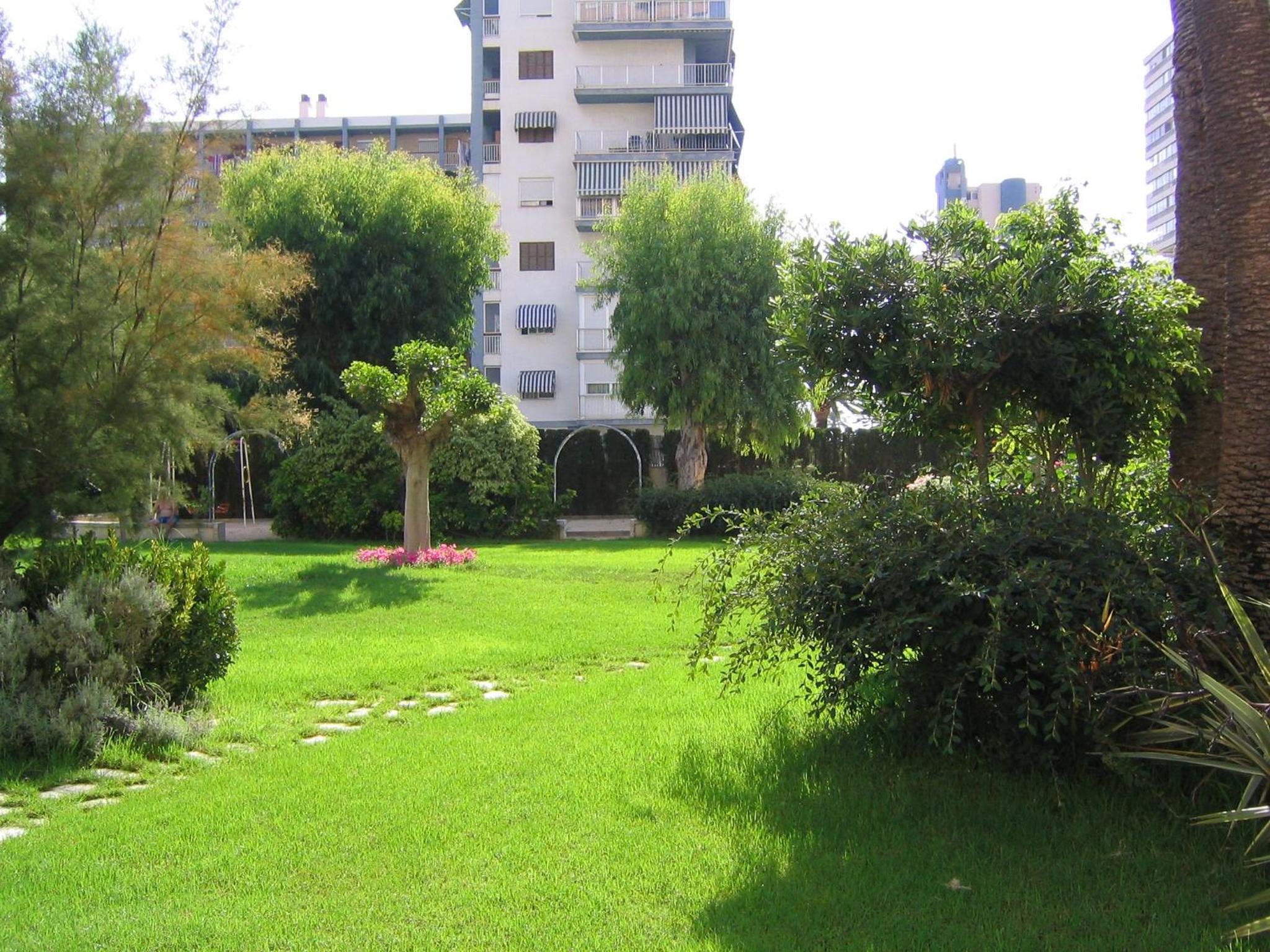 Photo 40