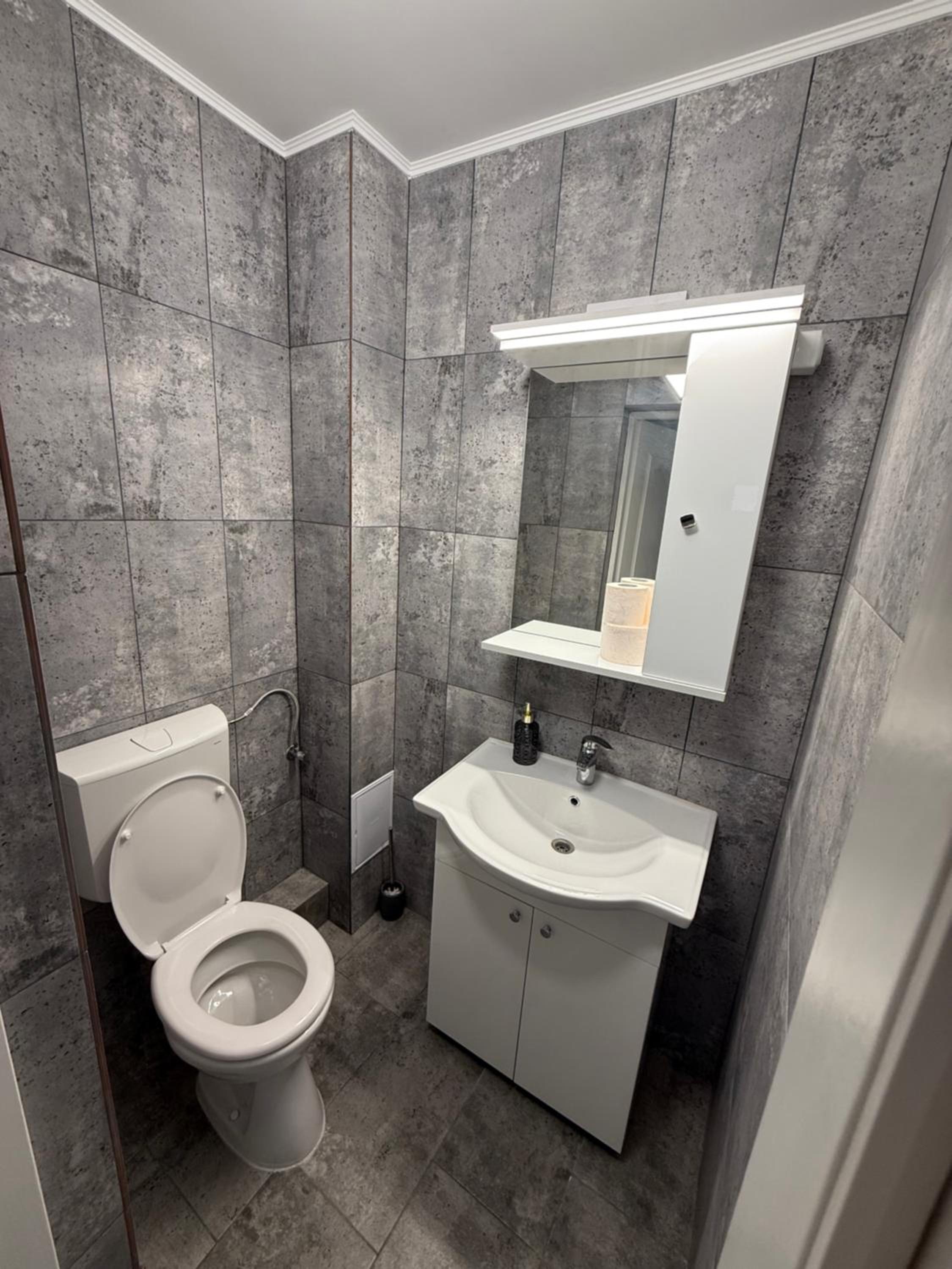 Apartamentul lui Radu