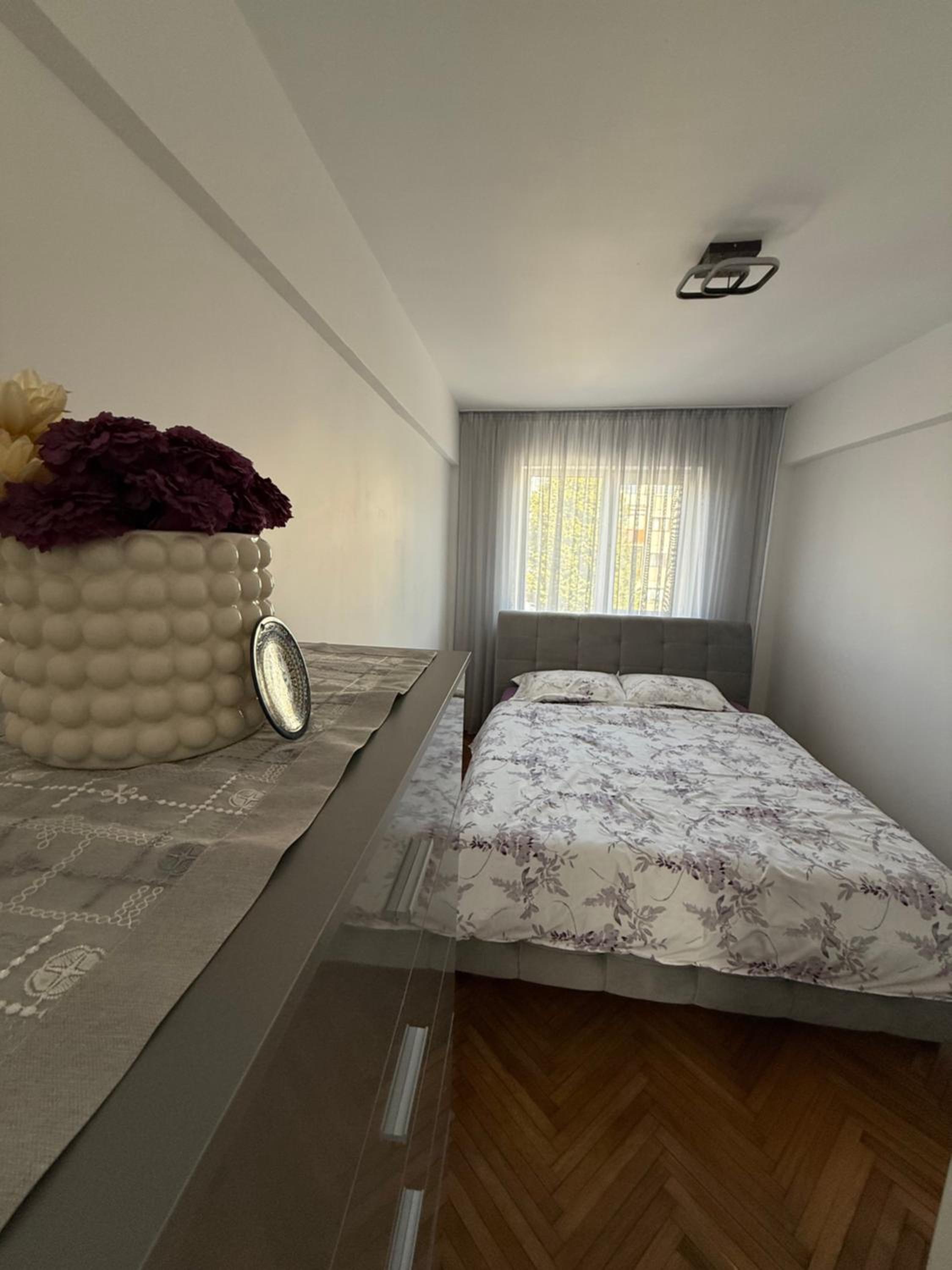 Apartamentul lui Radu
