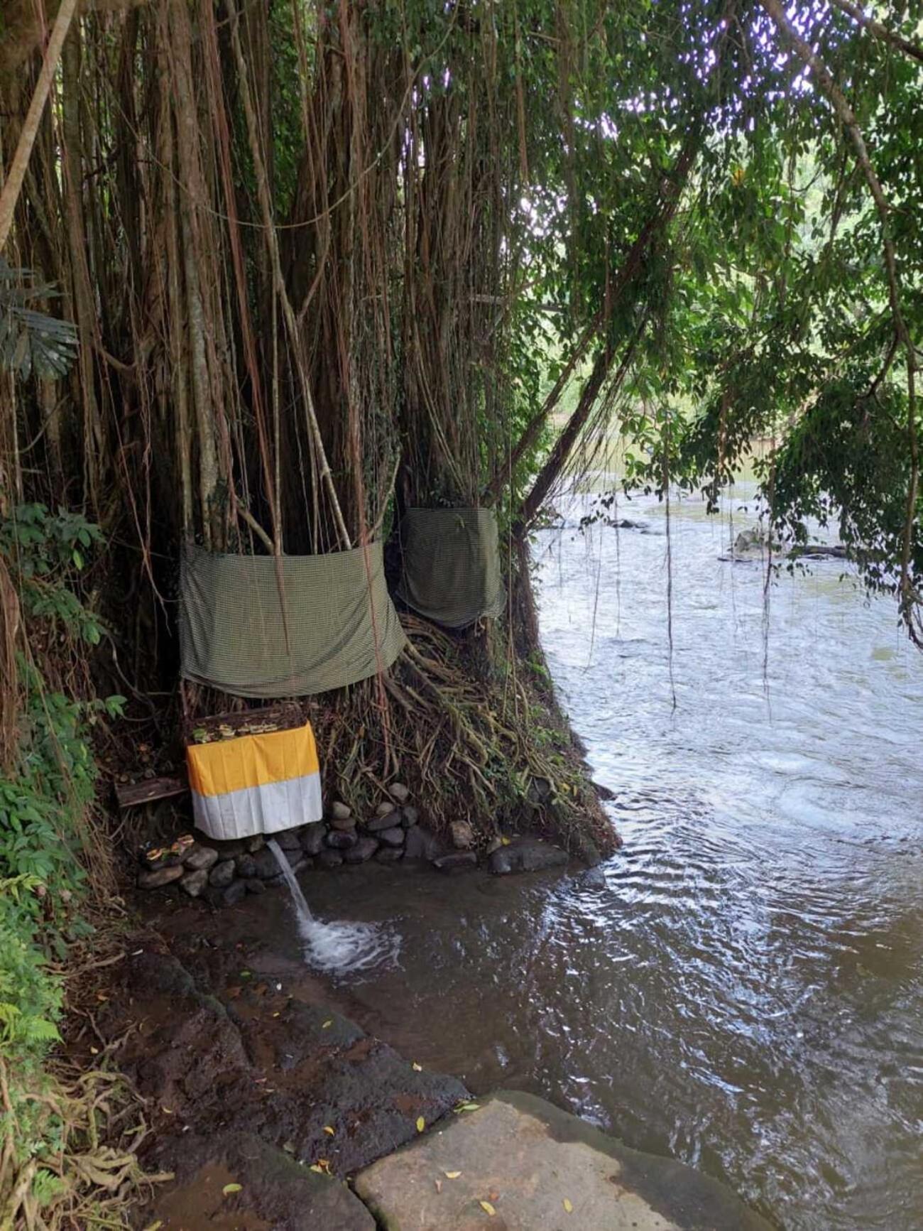 Jungle River 5 BR Villa- Pool, Yoga, Tubing Near Ubud