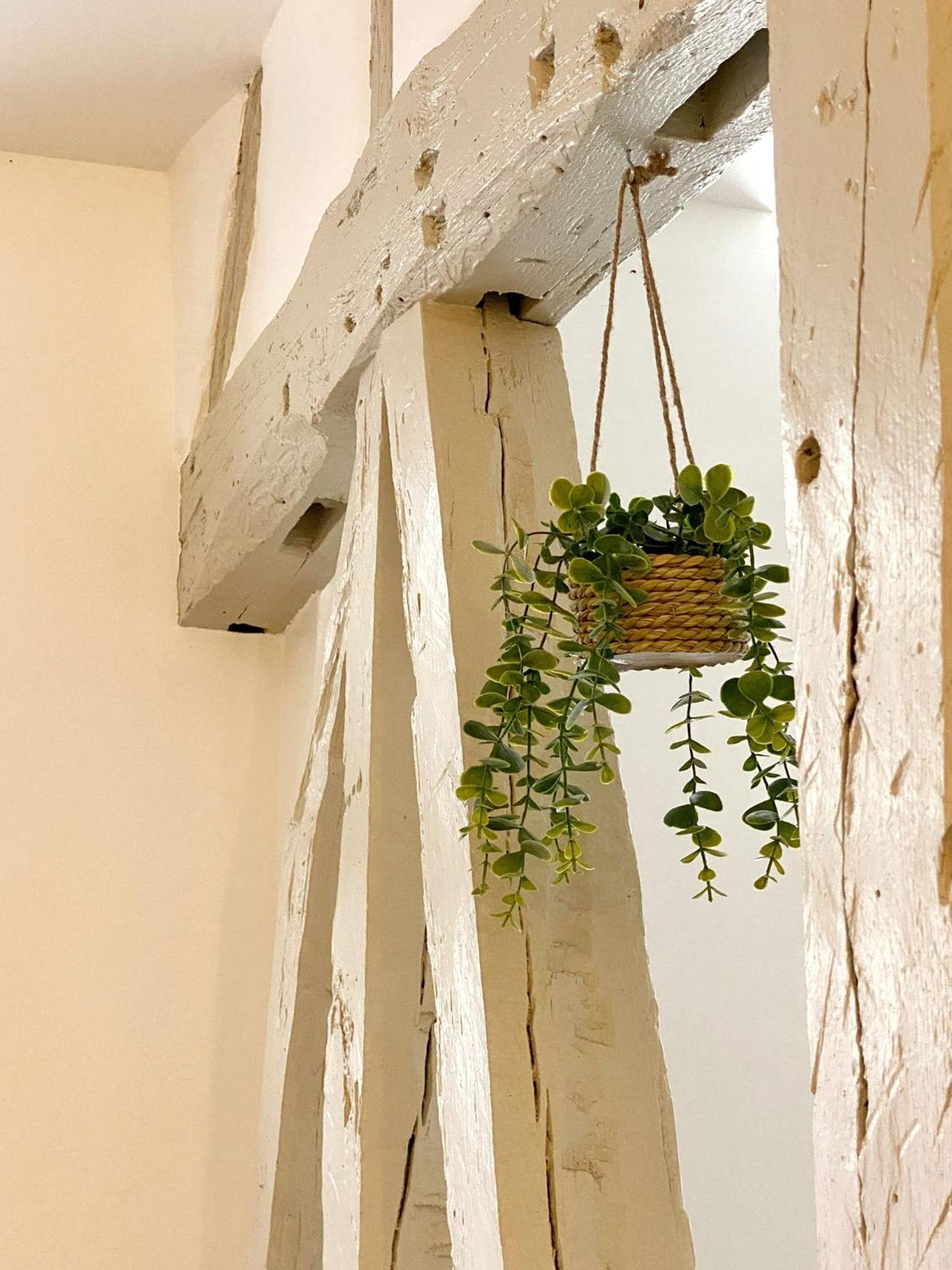 Studio Cosy & bohème - Quartier Cauchoise