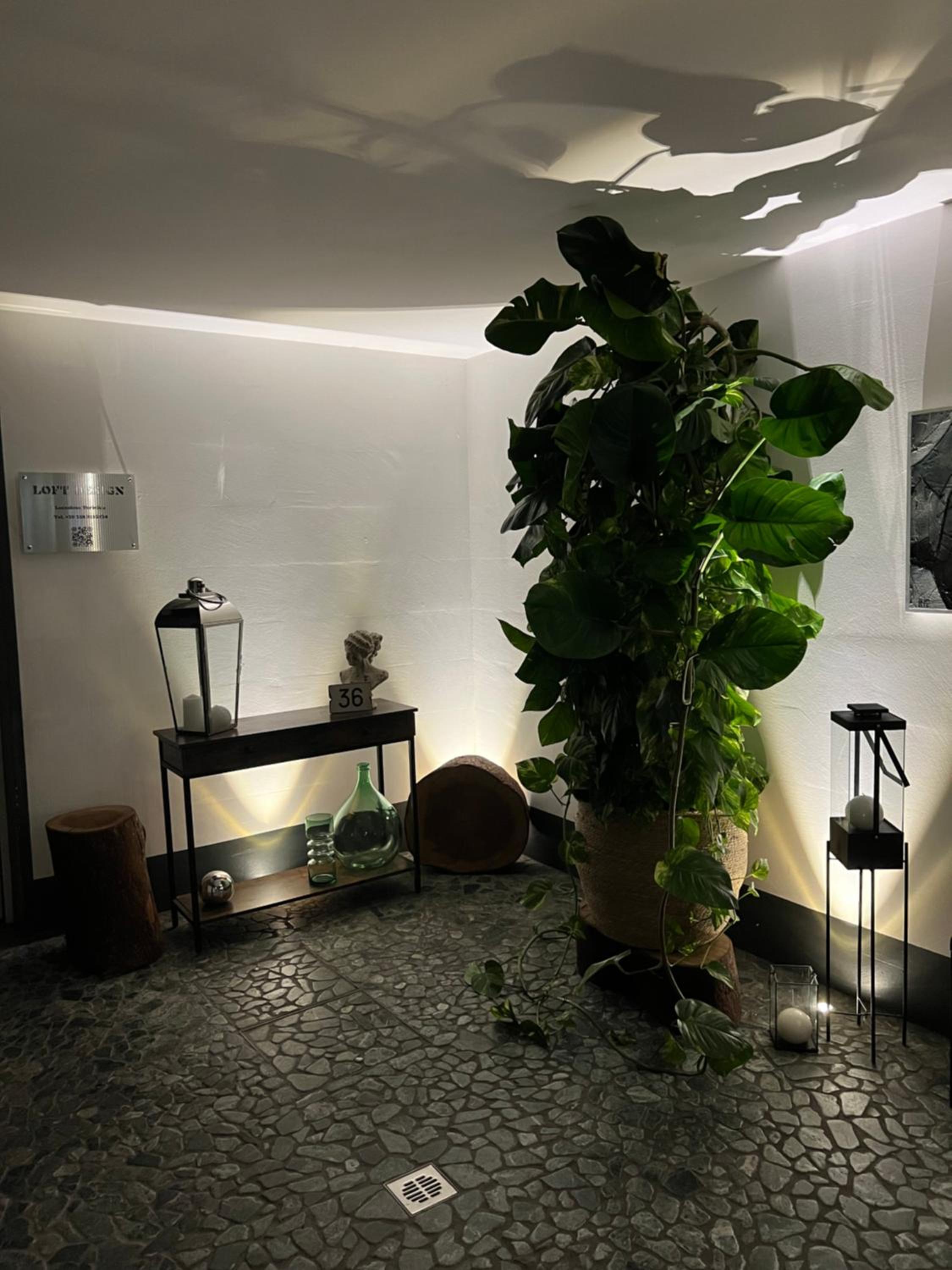 LoftDesign