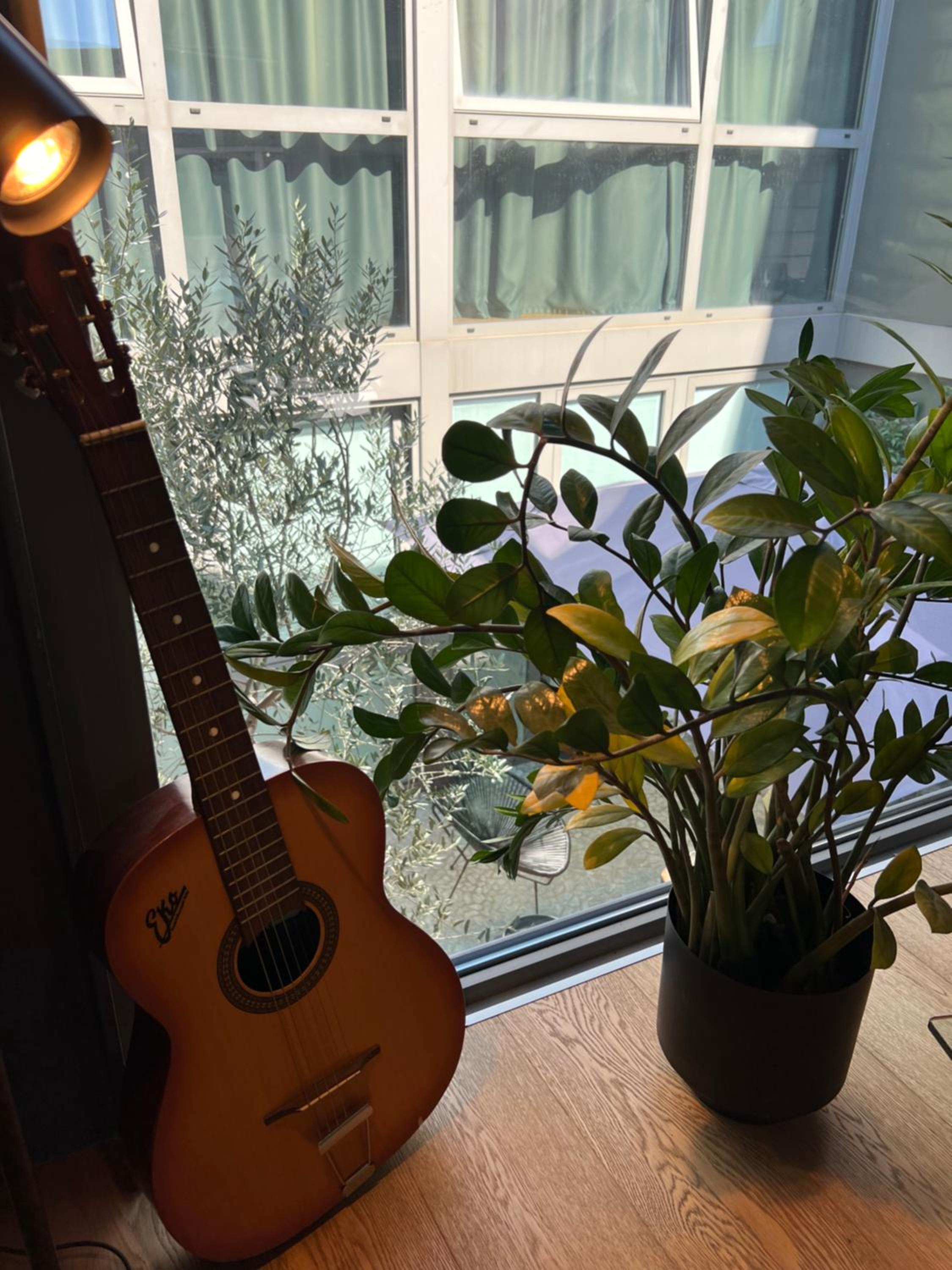 LoftDesign