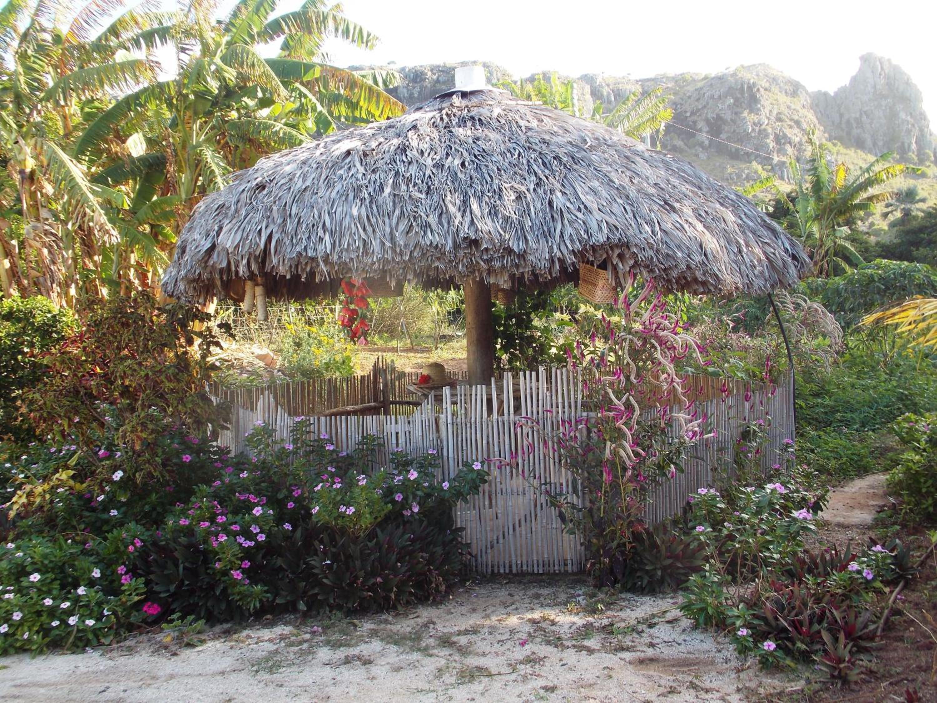 La Villa Allamanda