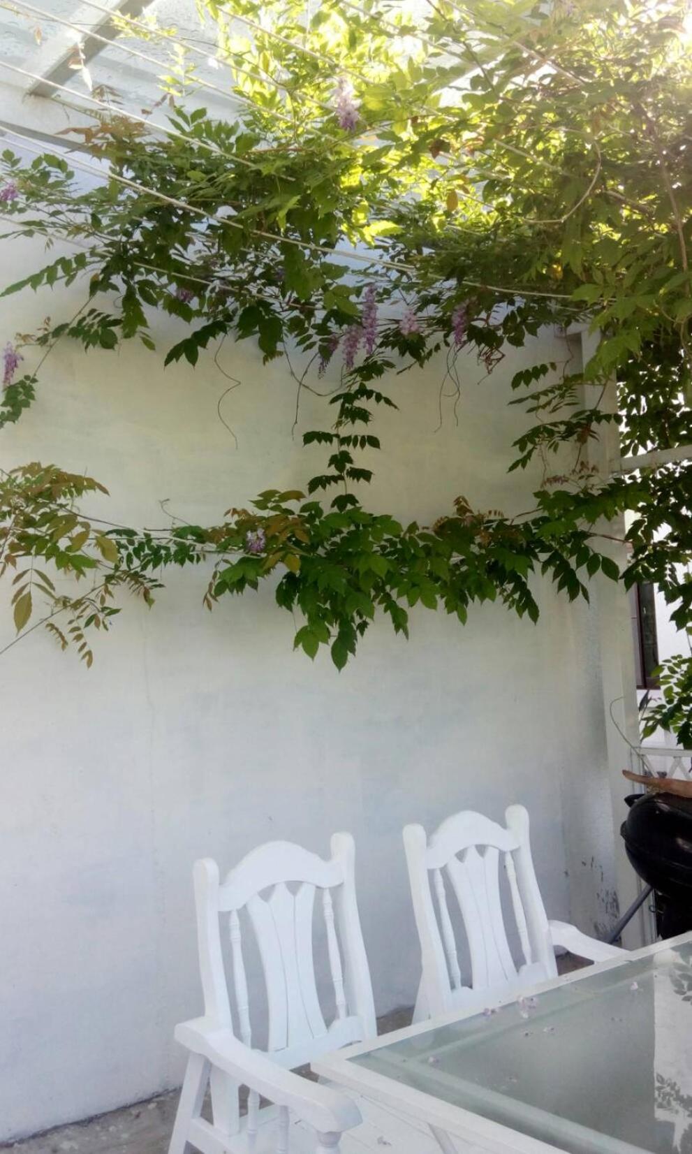 Hasayaki Homestay