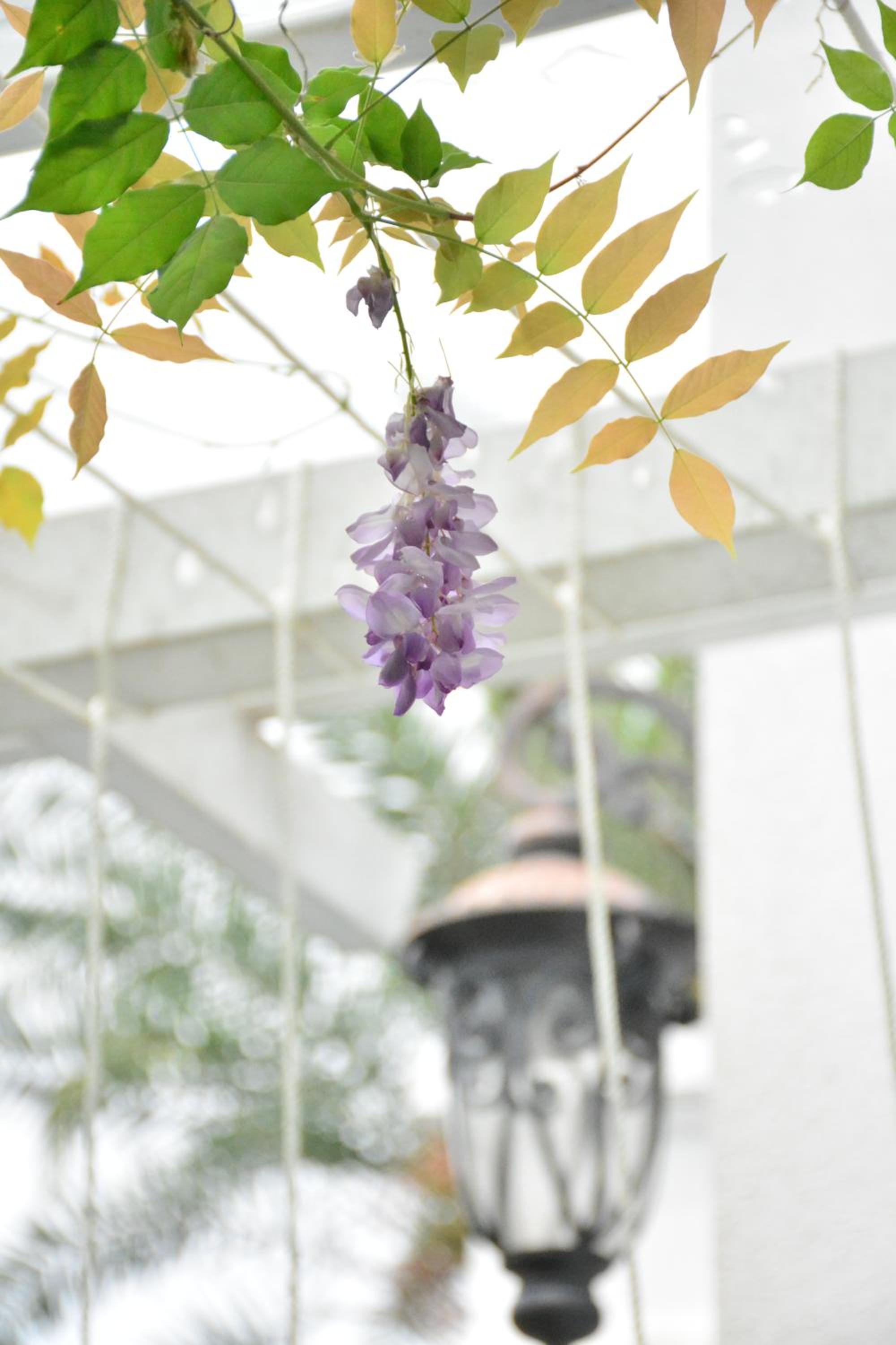 Hasayaki Homestay