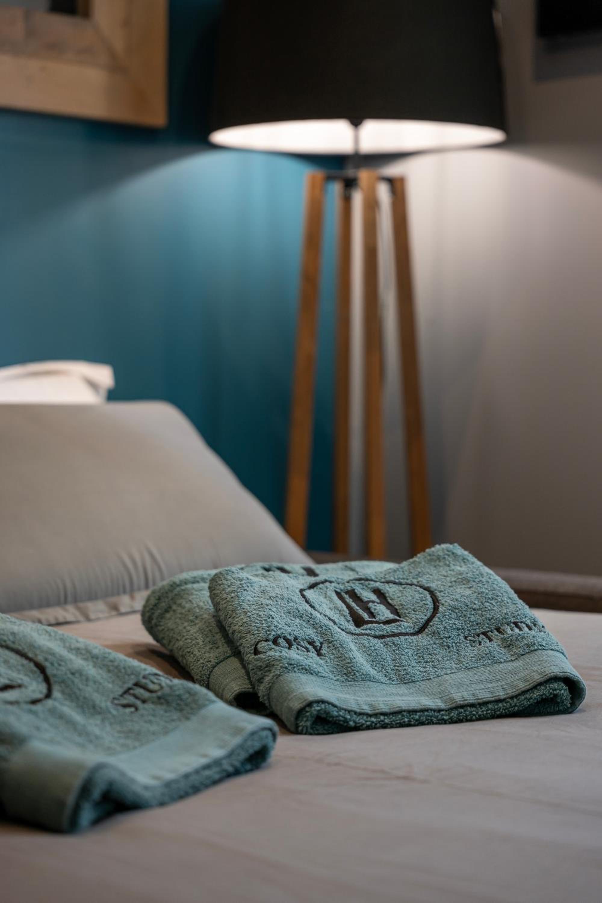 Le Cosy Studio idéal pro ou couple