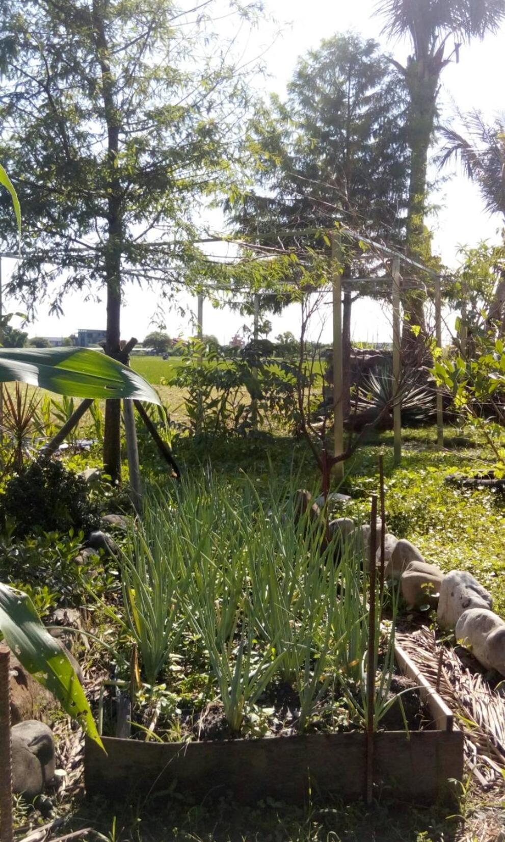 Hasayaki Homestay