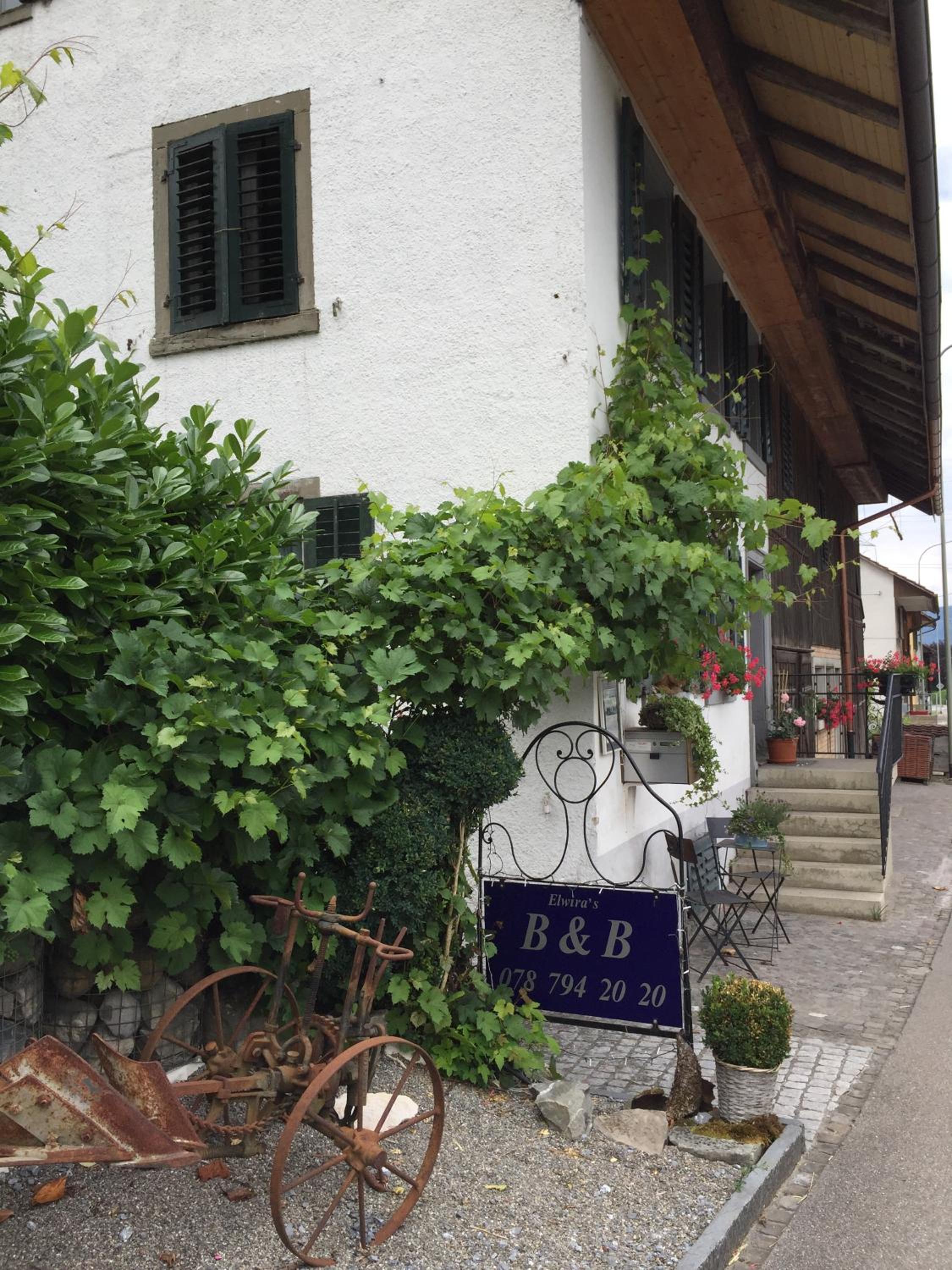 Airport Zürich Elwiras B & B