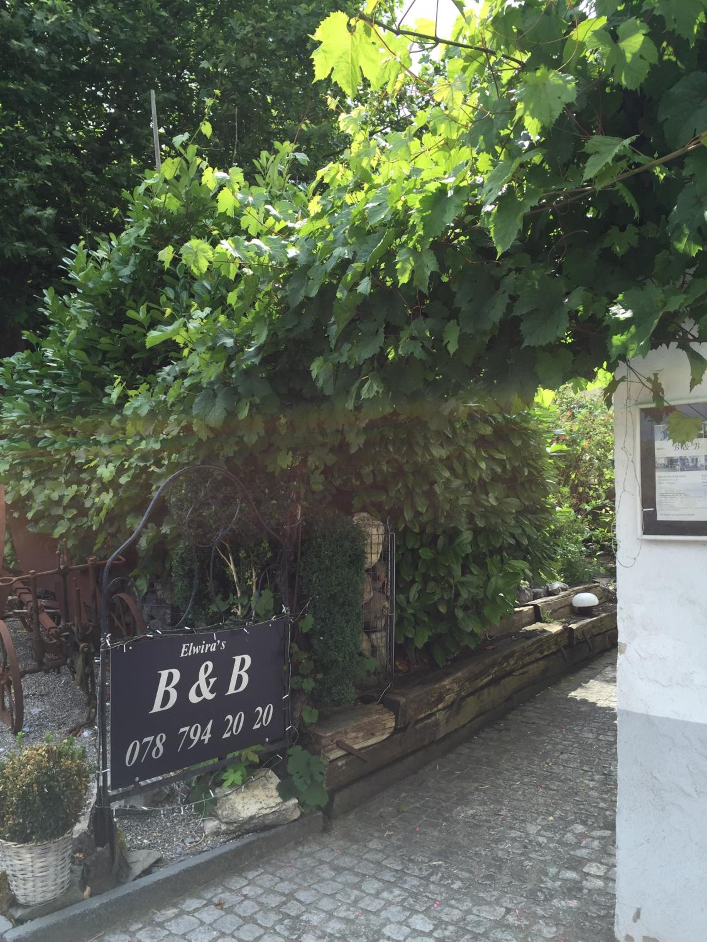 Airport Zürich Elwiras B & B