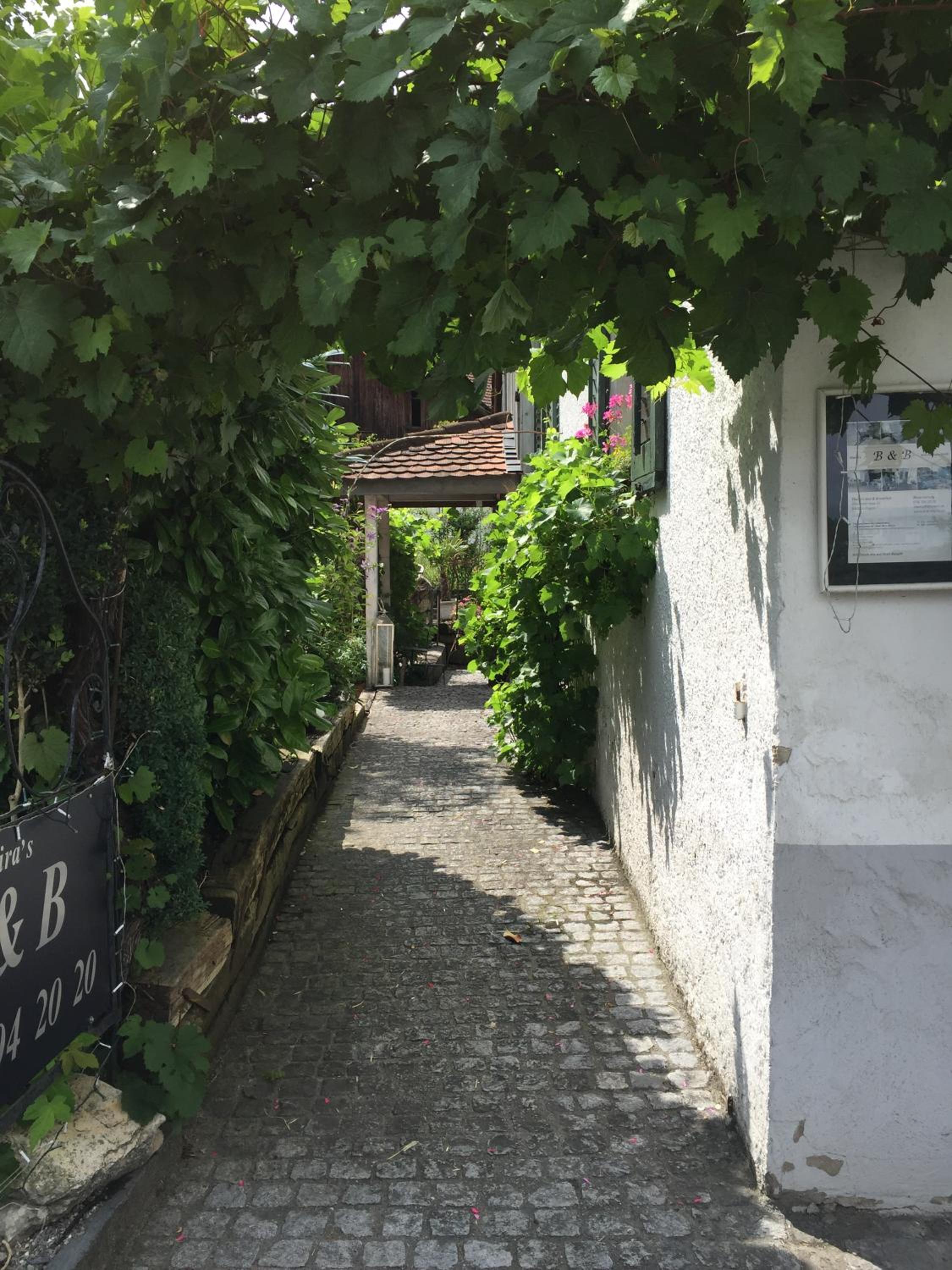 Airport Zürich Elwiras B & B