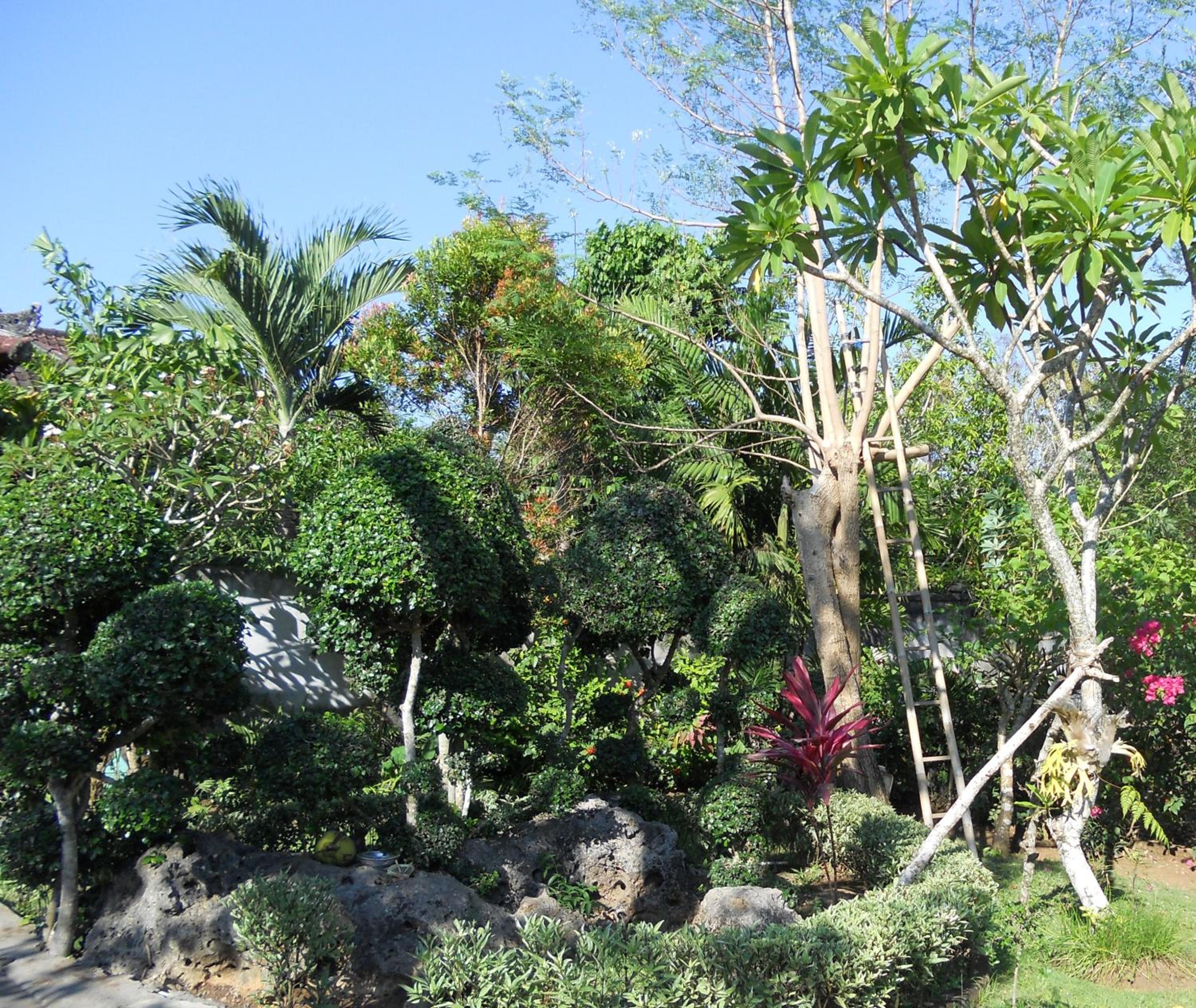 Avisara Nusa Dua