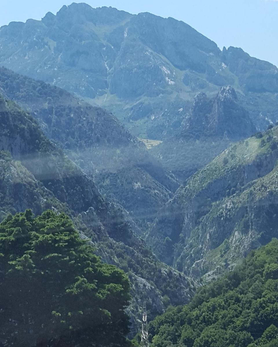 Casa Rural Pocotrigo