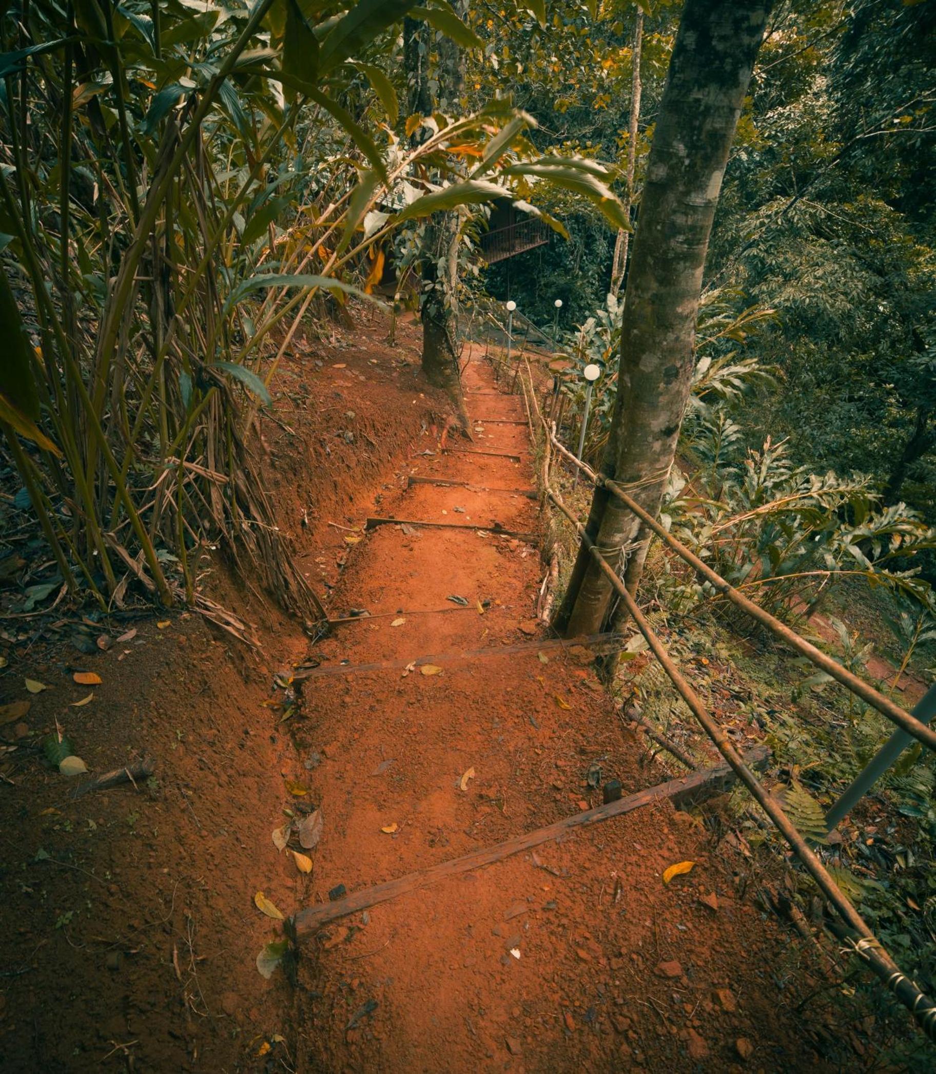 Photo 42
