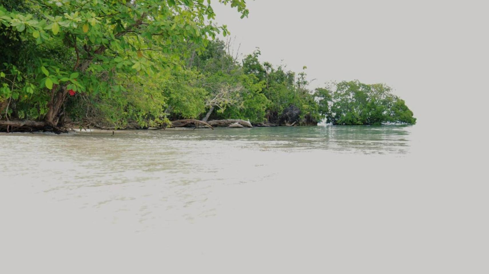 Paradise Raja Ampat