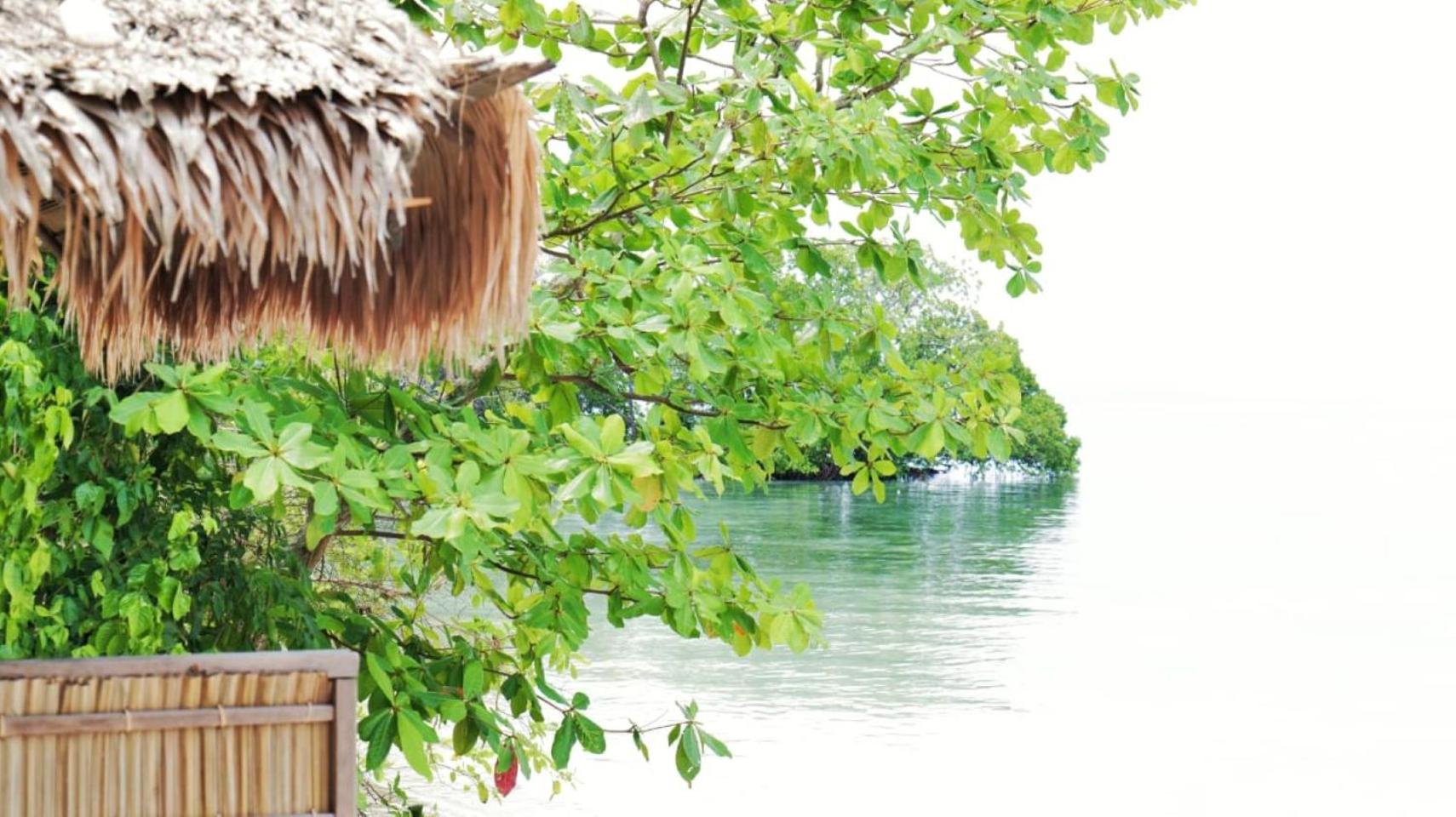 Paradise Raja Ampat