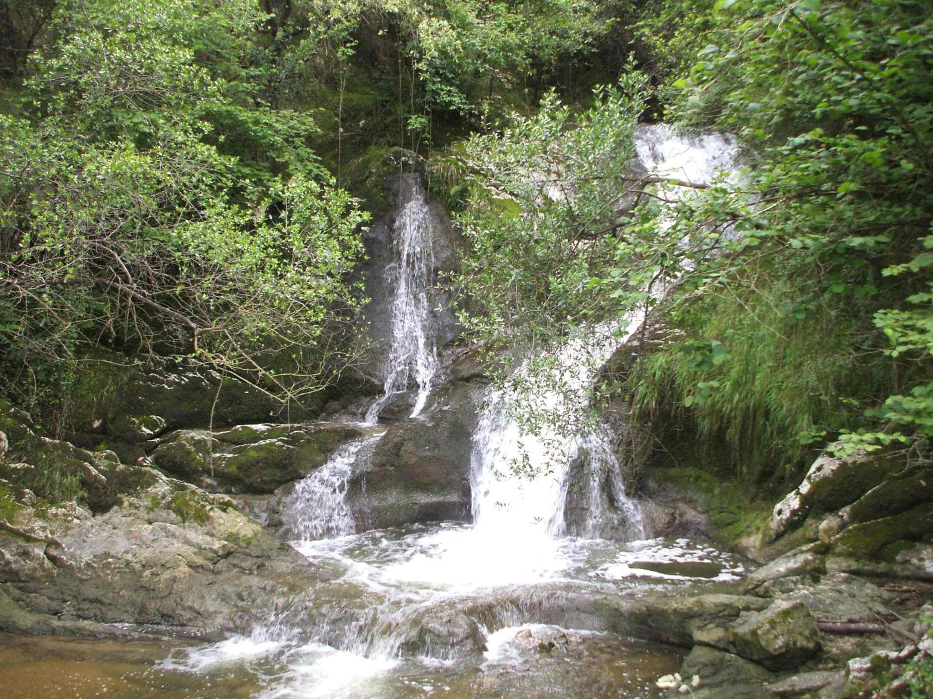 Photo 25
