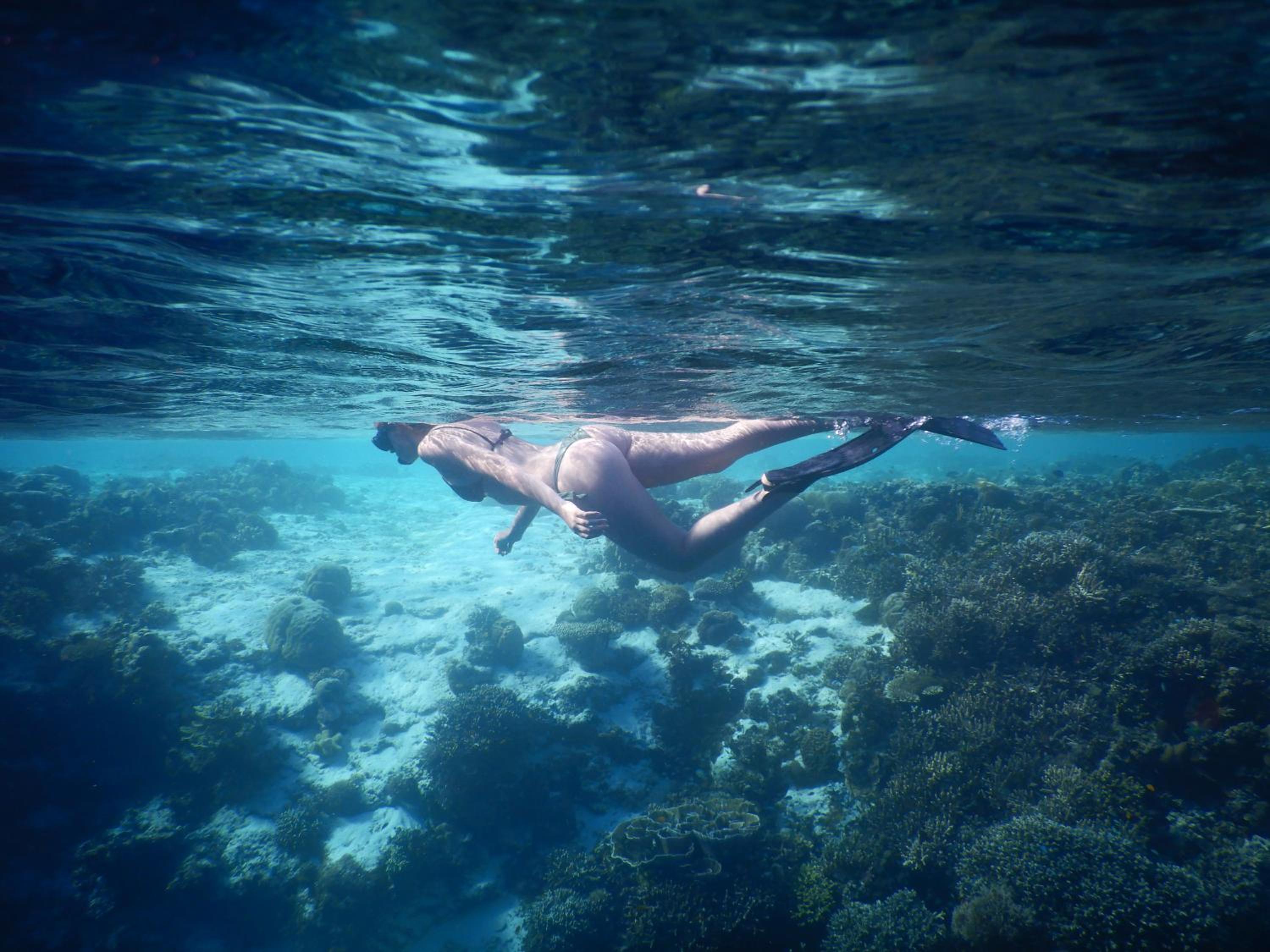 Paradise Raja Ampat