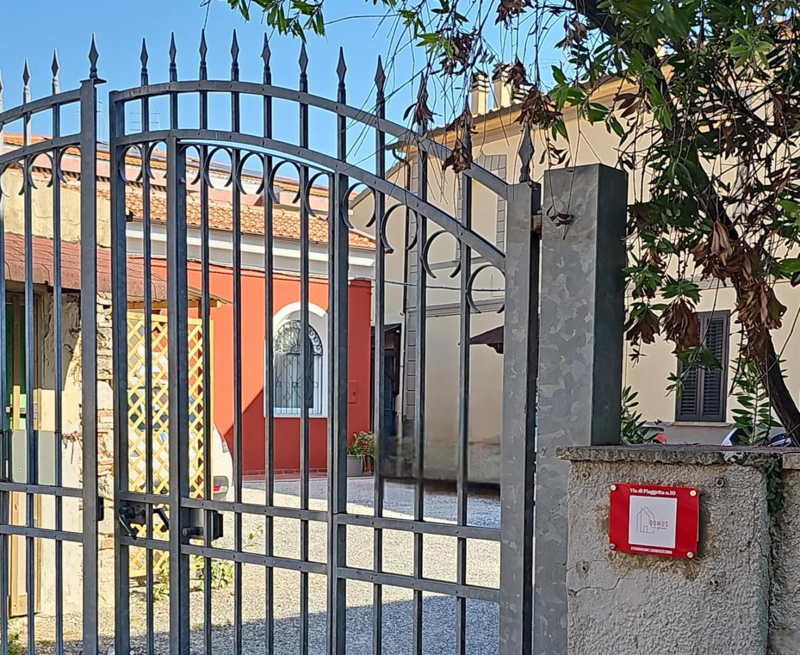 Domus Regia