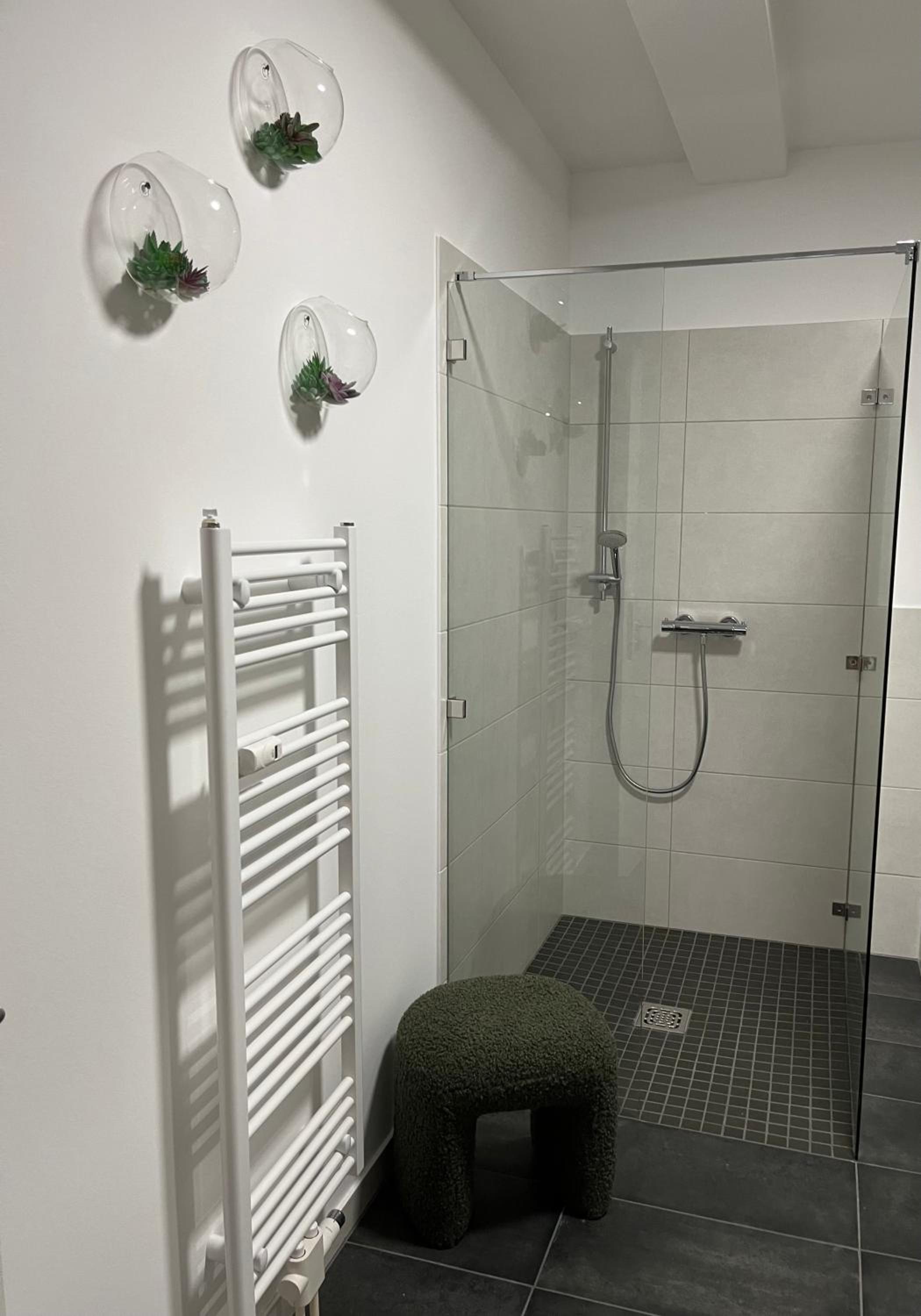 ANER 6 eleganter Loft mit Infrarotsauna in Dresden Weißer Hirsch