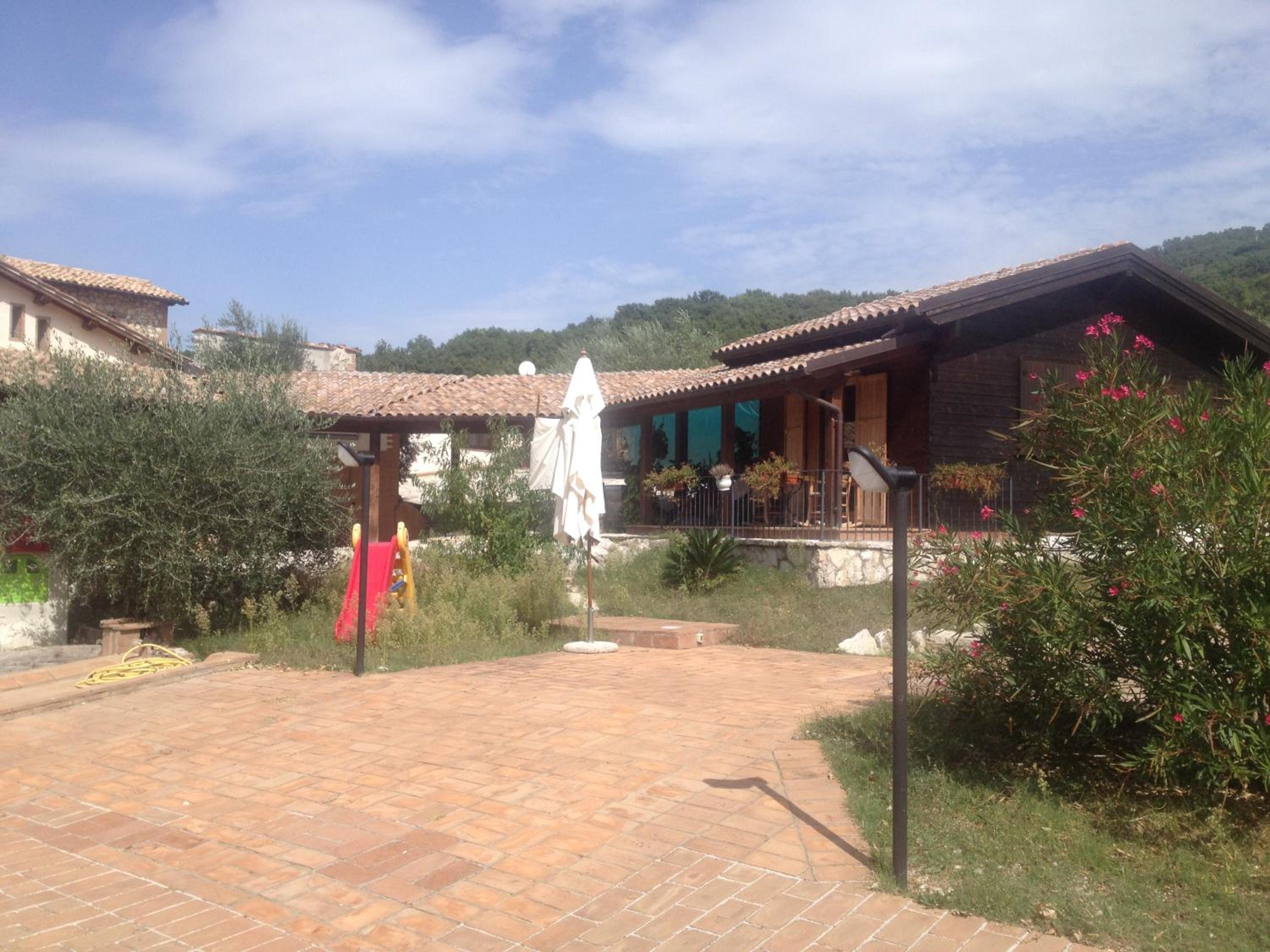 Photo 11