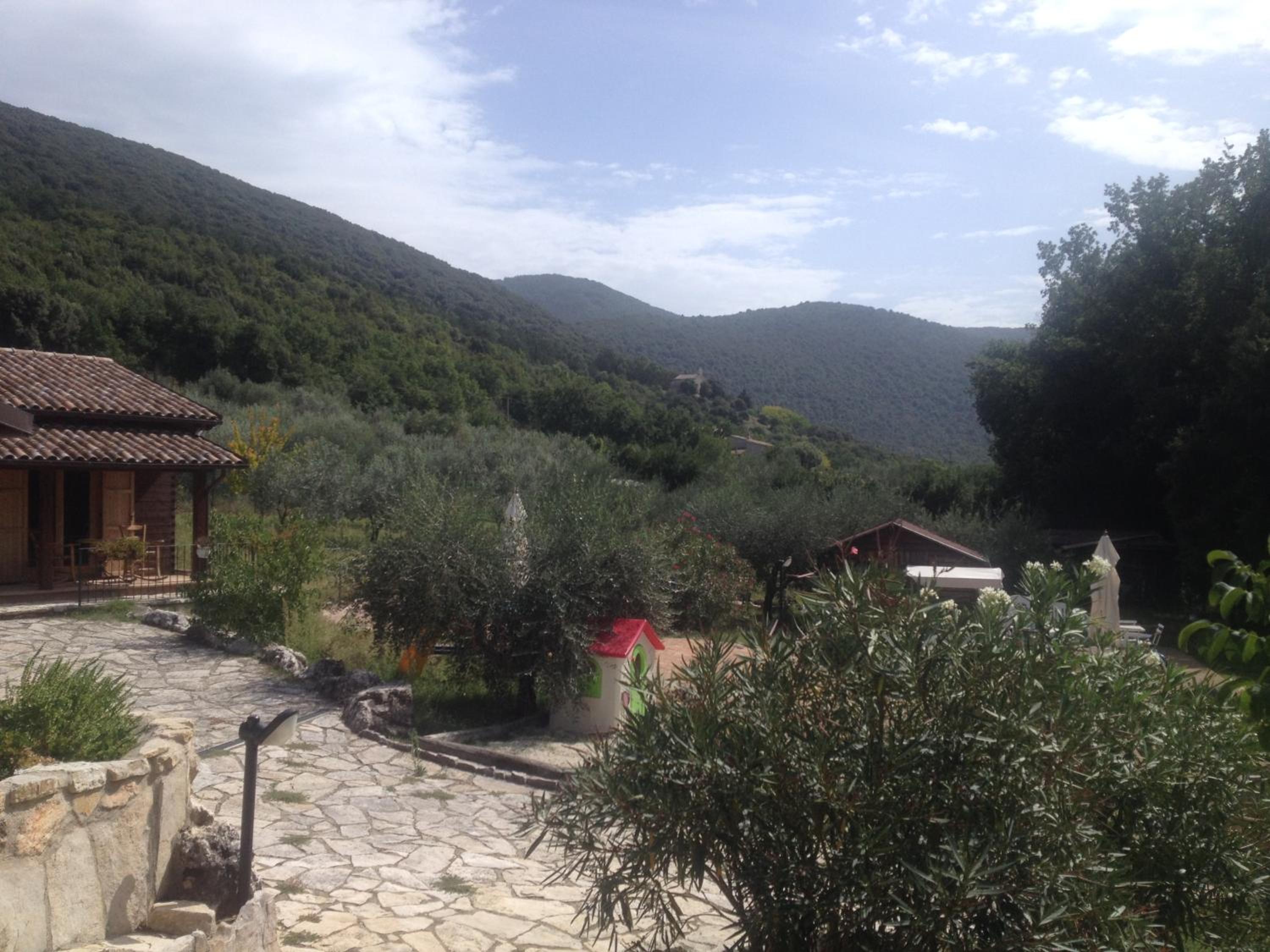 Photo 19