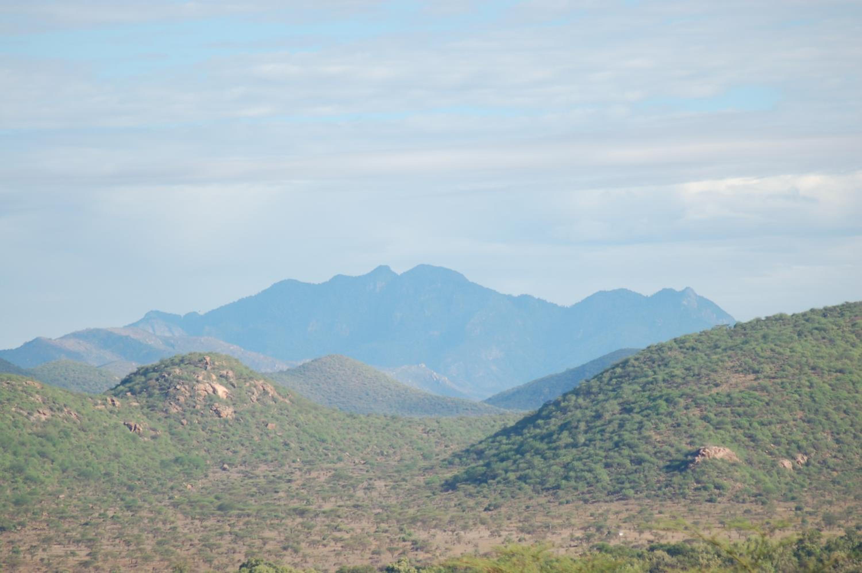 Samburu Intrepids Tented Camp