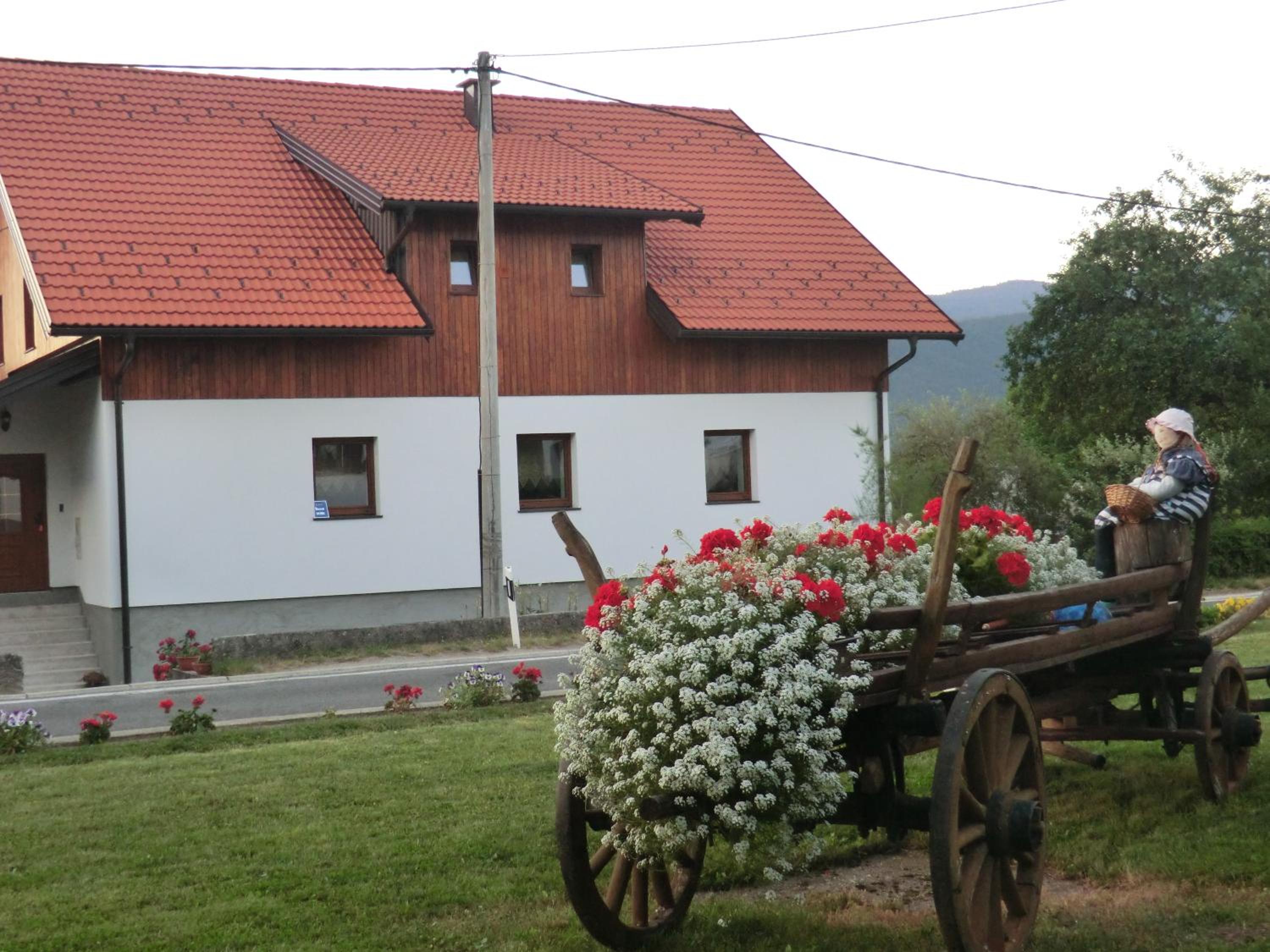 Photo 44