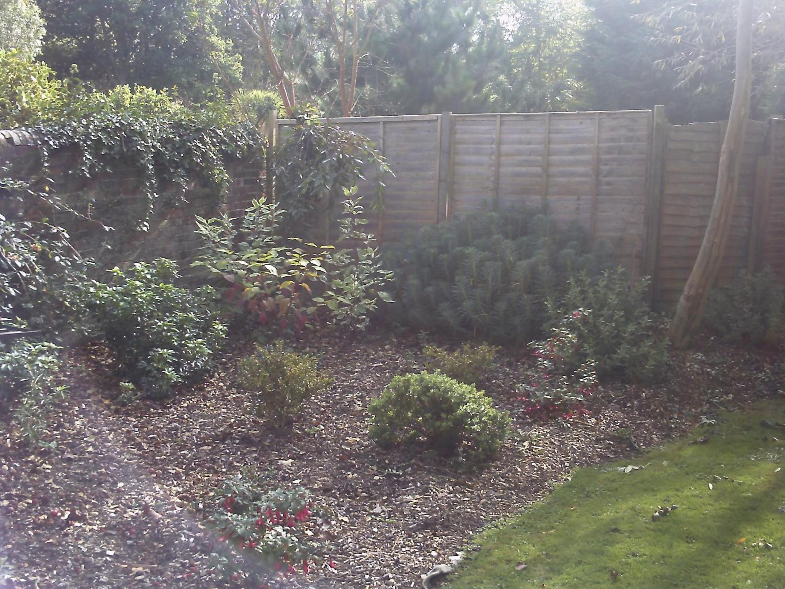 Photo 25