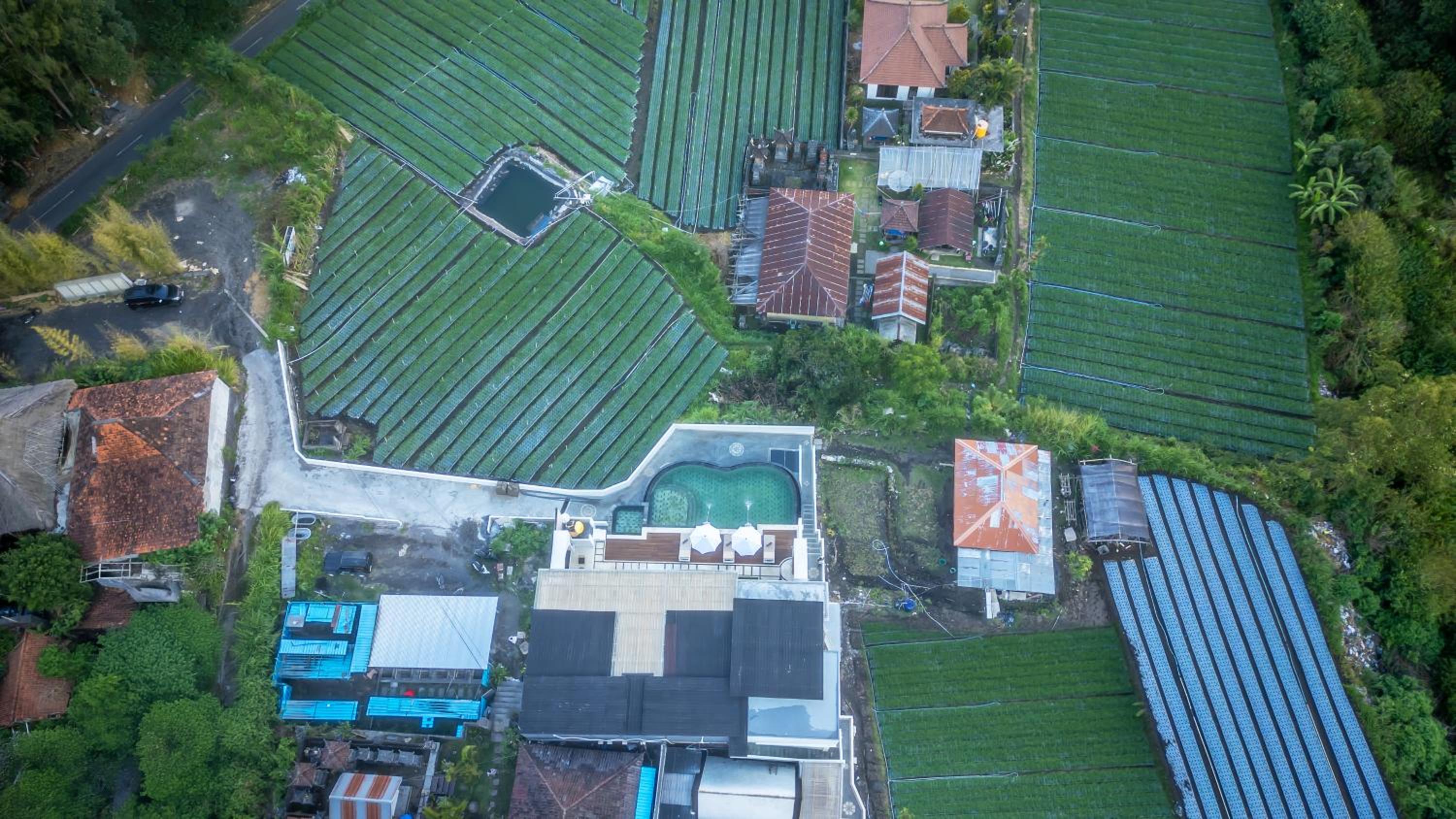The Hanz Villa Kintamani By The Dewi