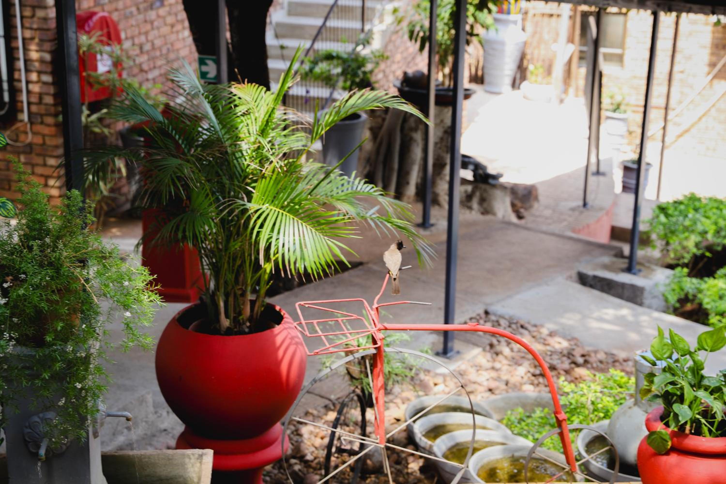 Maroela Guest Lodge, photo 83