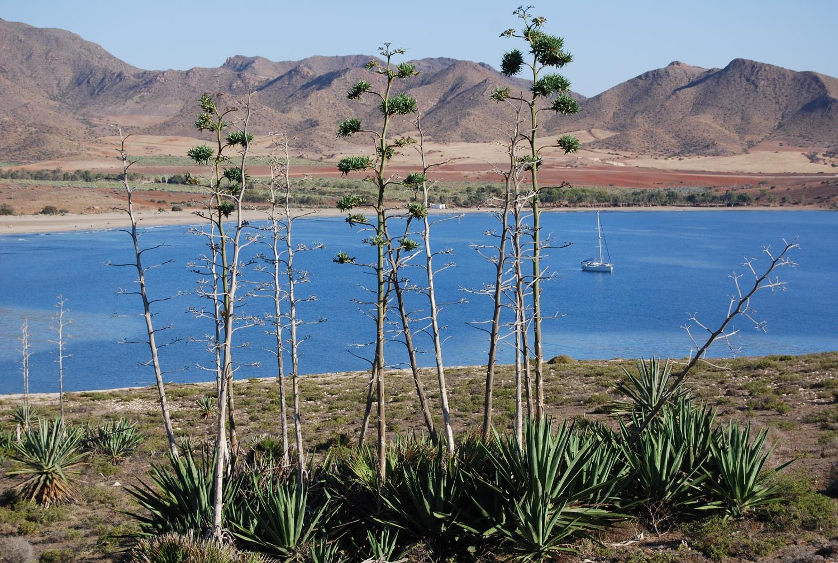 Complejo Turístico Los Escullos Cabo de Gata