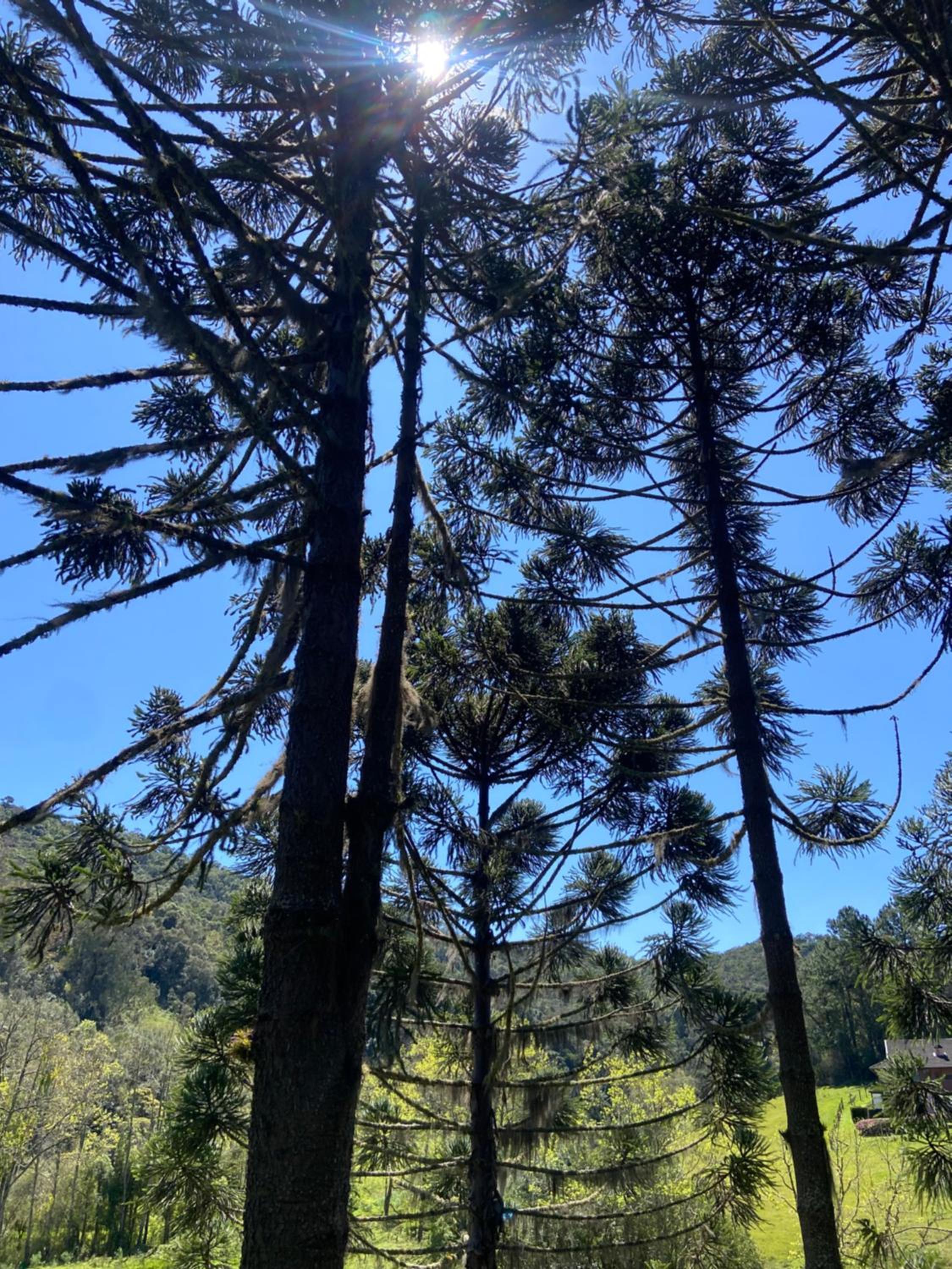 Via Kairós - Rancho Queimado/SC