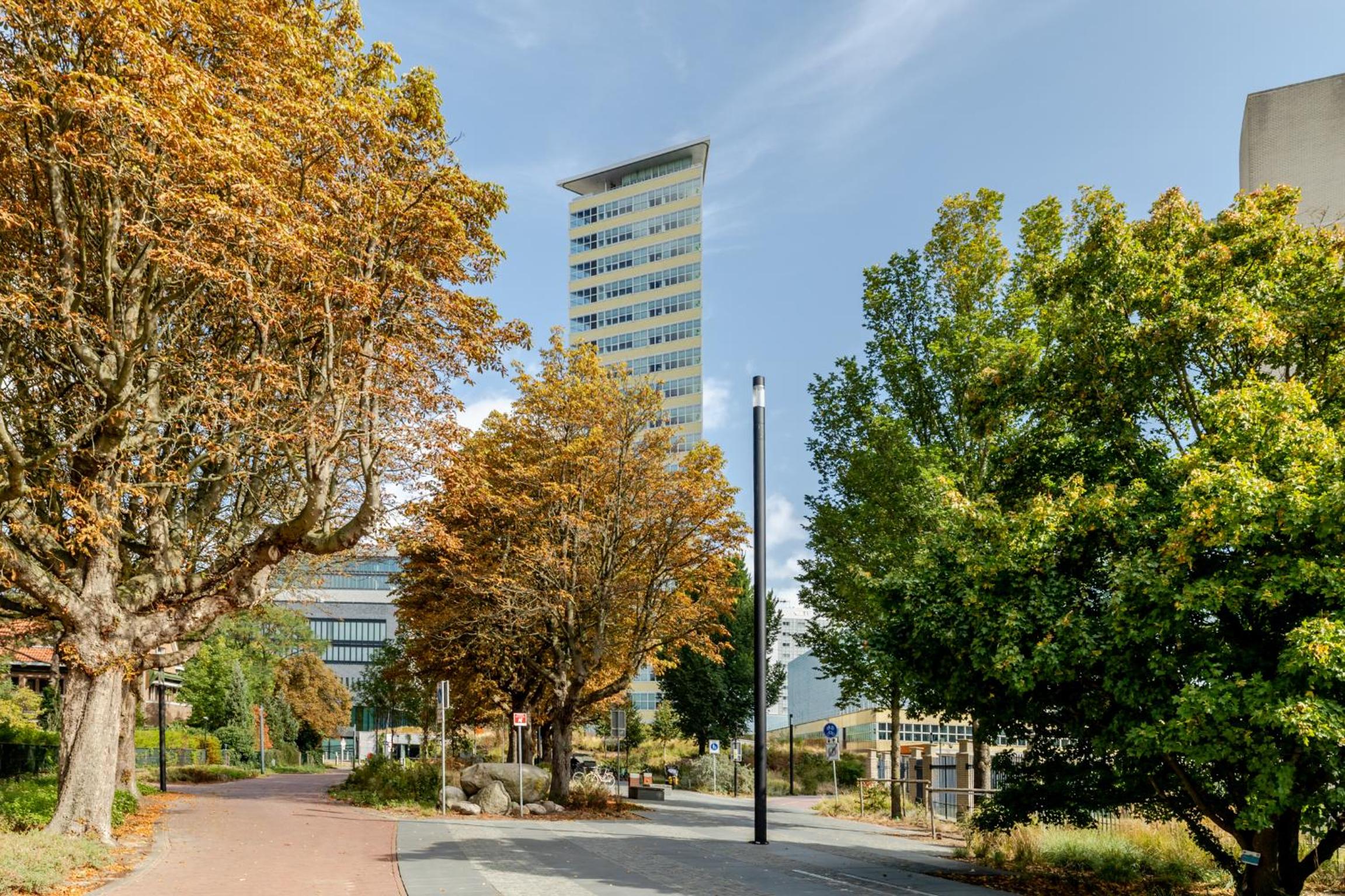 BizStay Toren van Oud