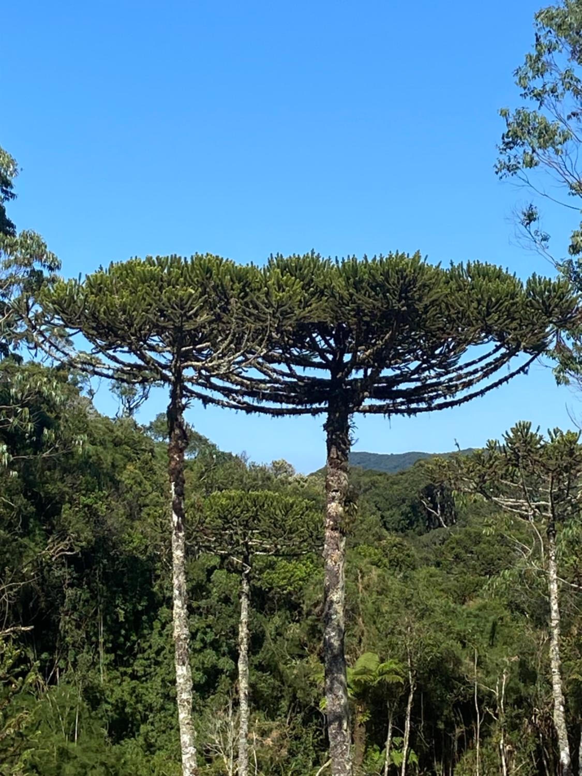 Via Kairós - Rancho Queimado/SC