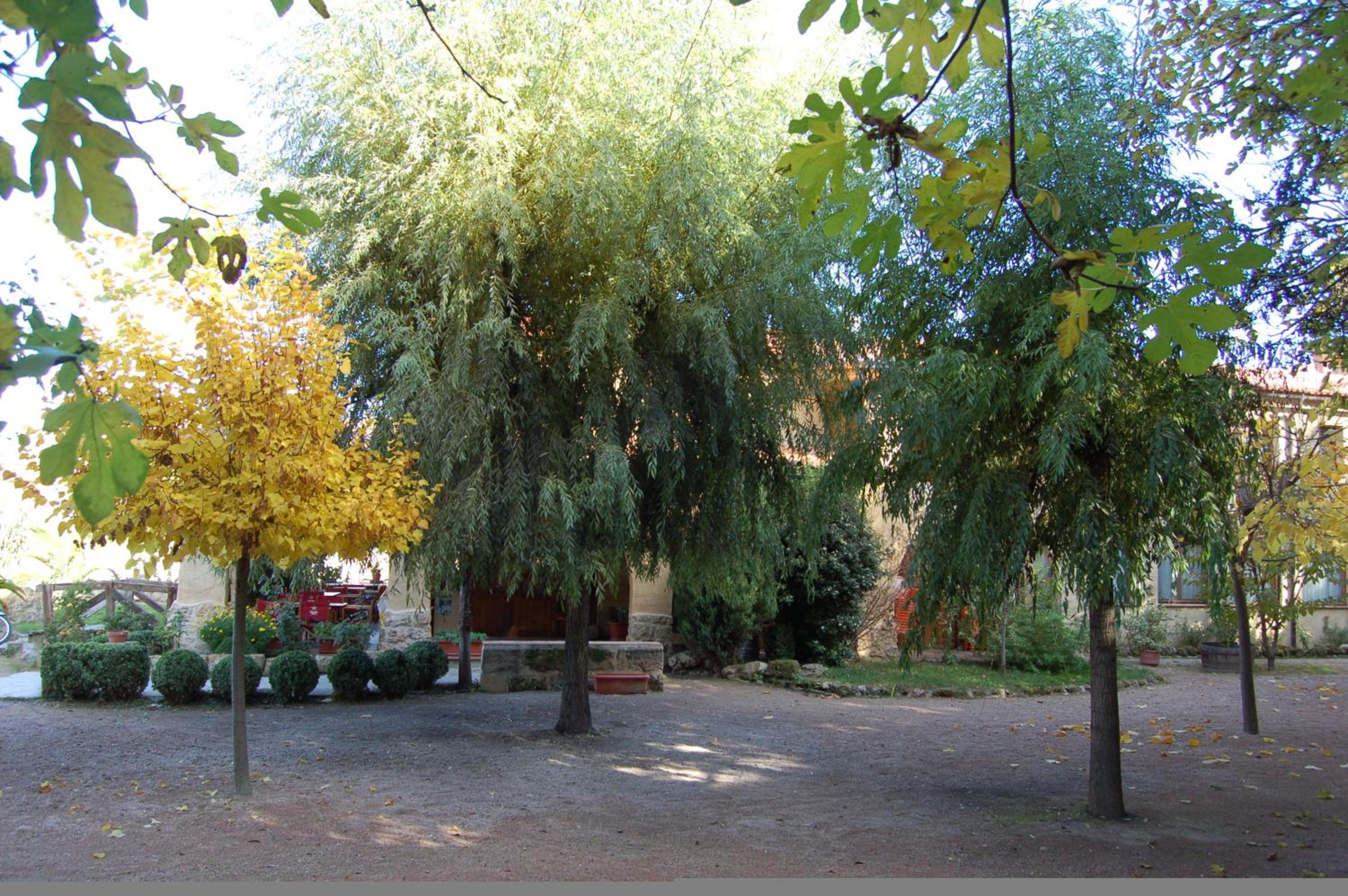 Photo 33