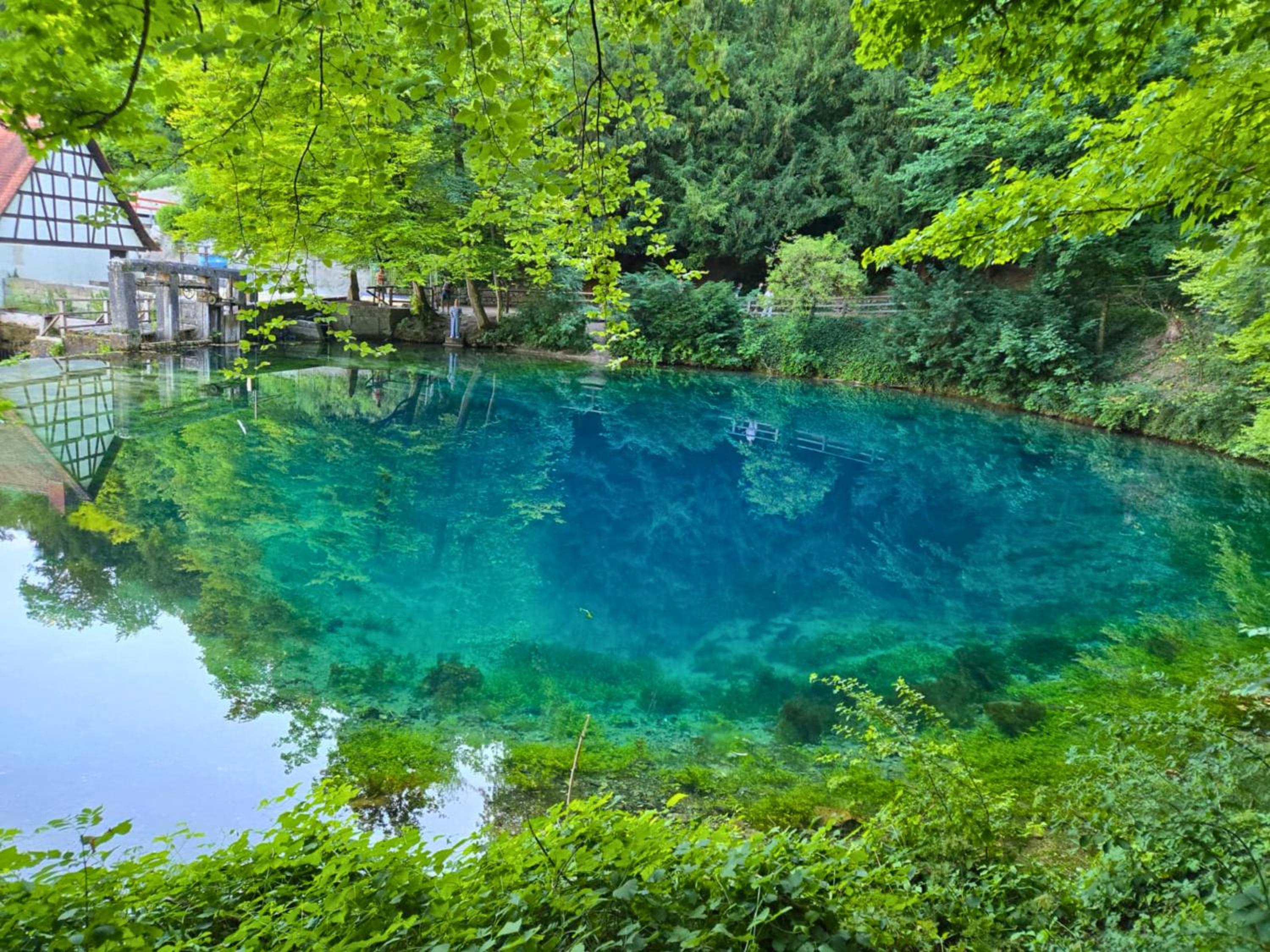 Holiday&Stay, Blautopf Apartments
