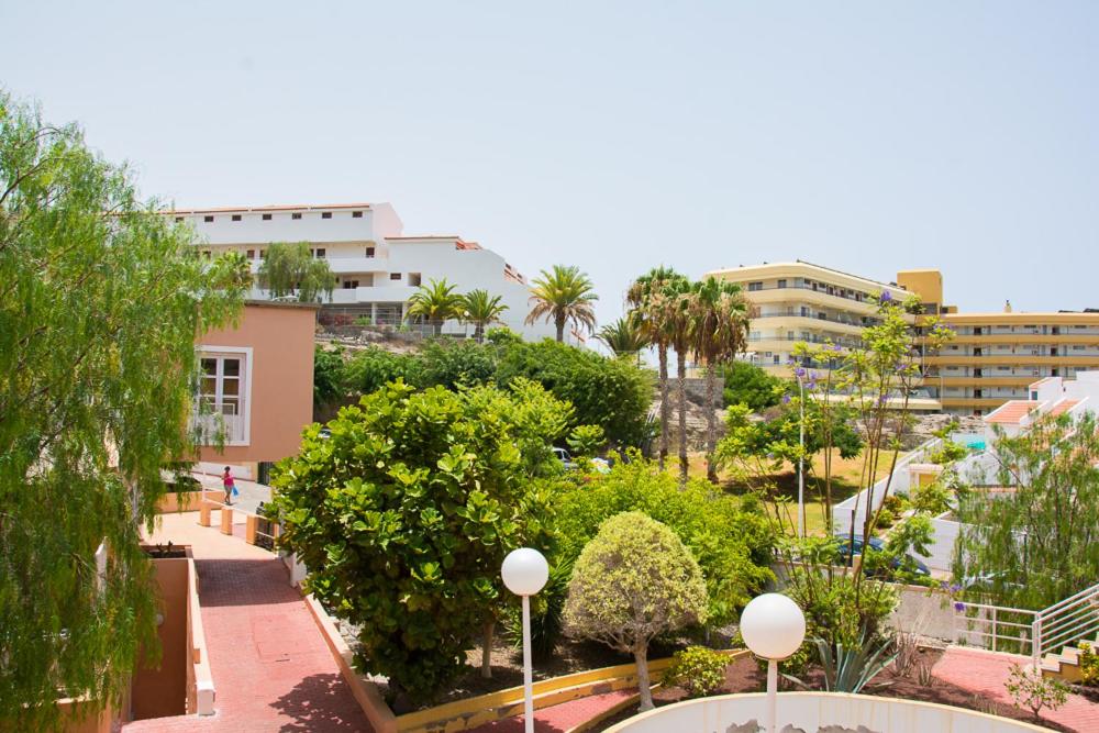 Apartment Playa Torviscas