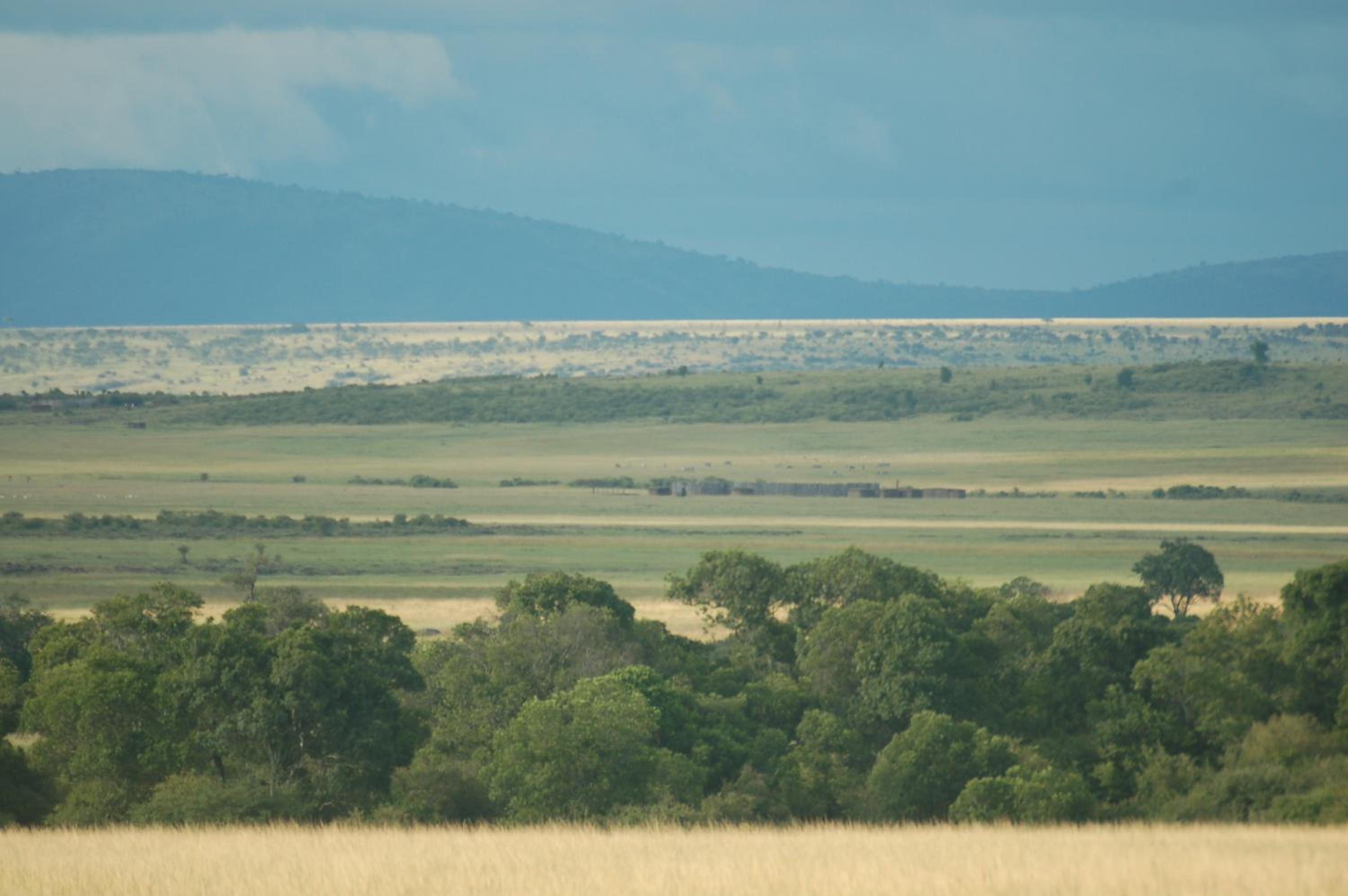 Mara Intrepids Tented Camp view 4
