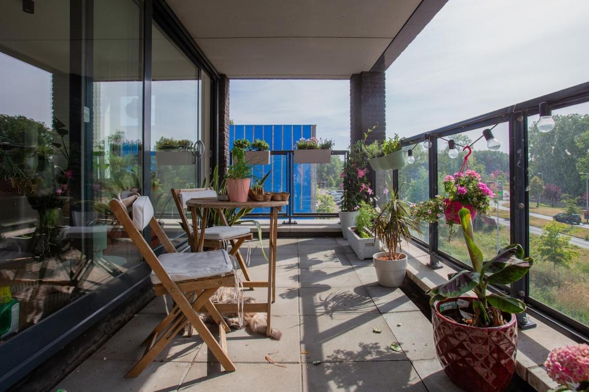 Villa Lollipop, Amsterdam North