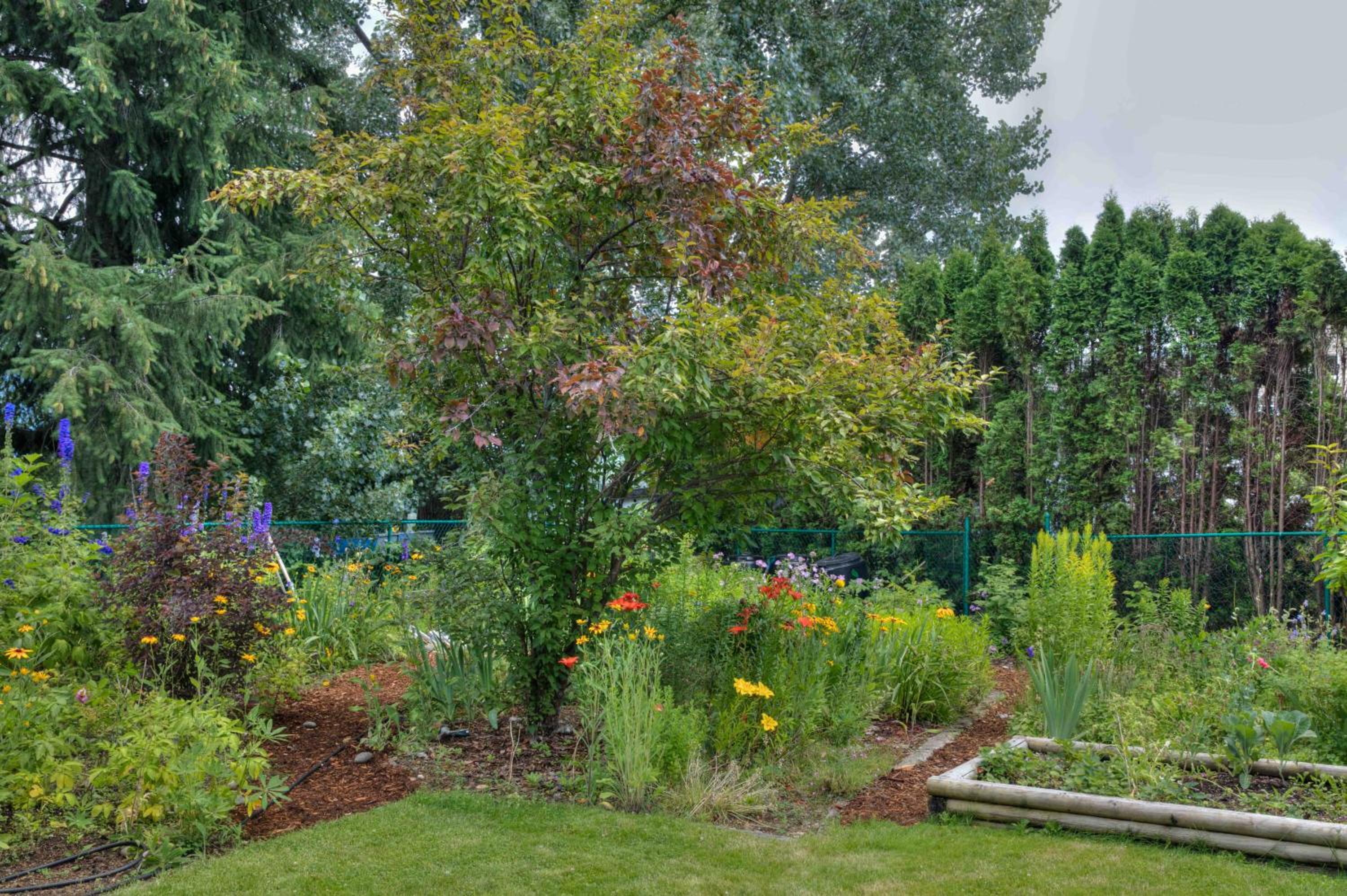 Hummingbird Bed and Breakfast