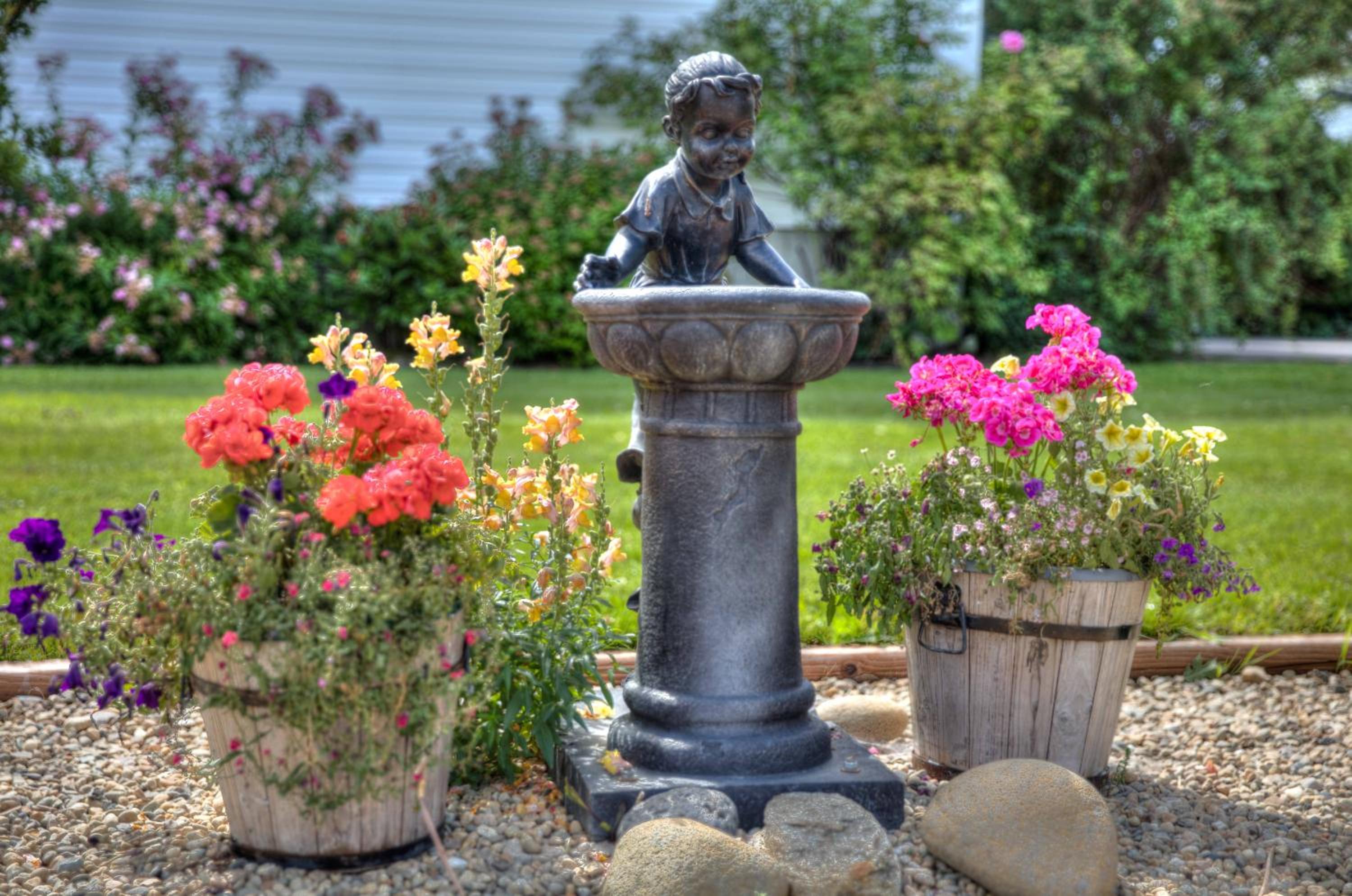 Hummingbird Bed and Breakfast