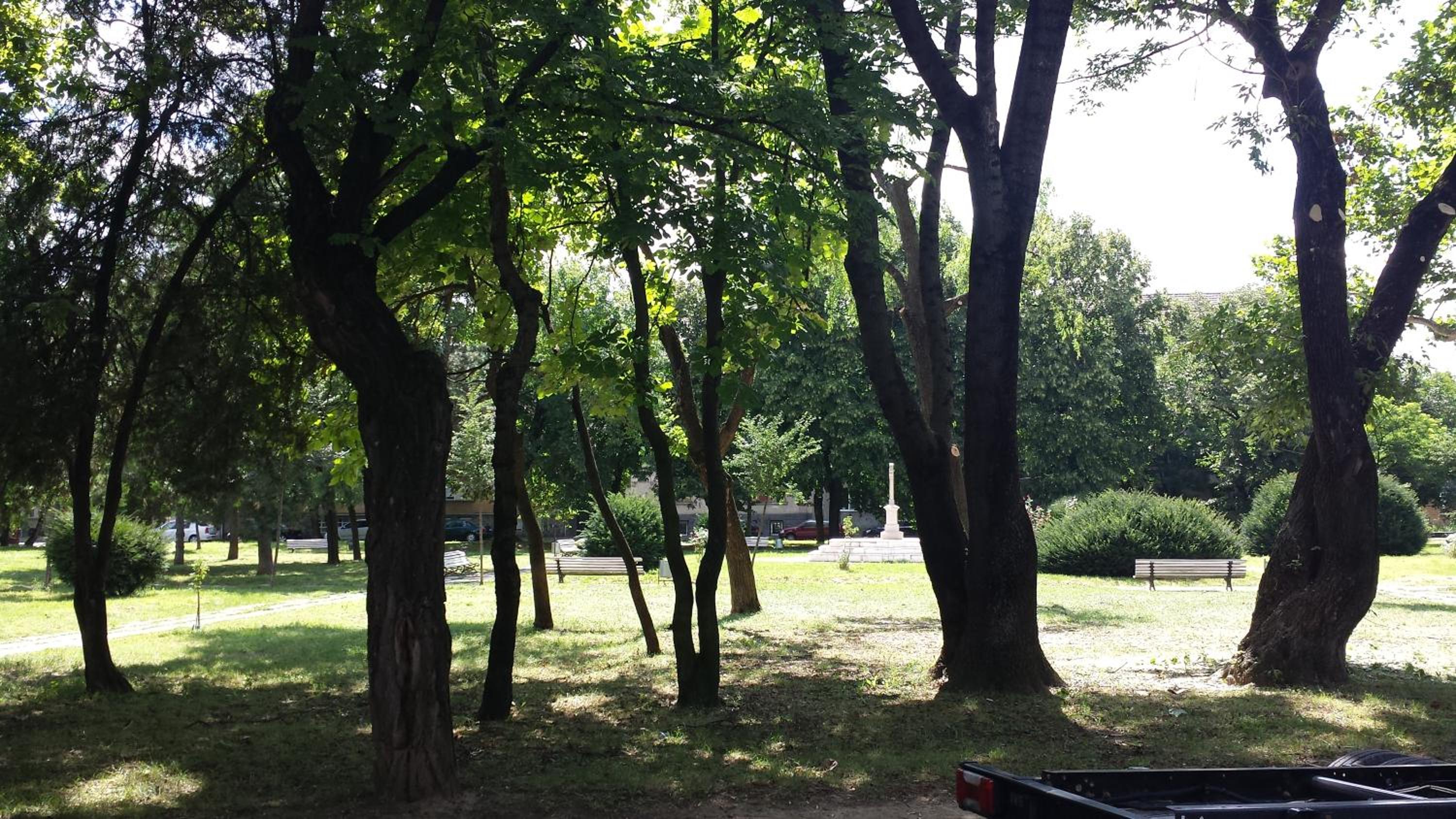 Photo 22