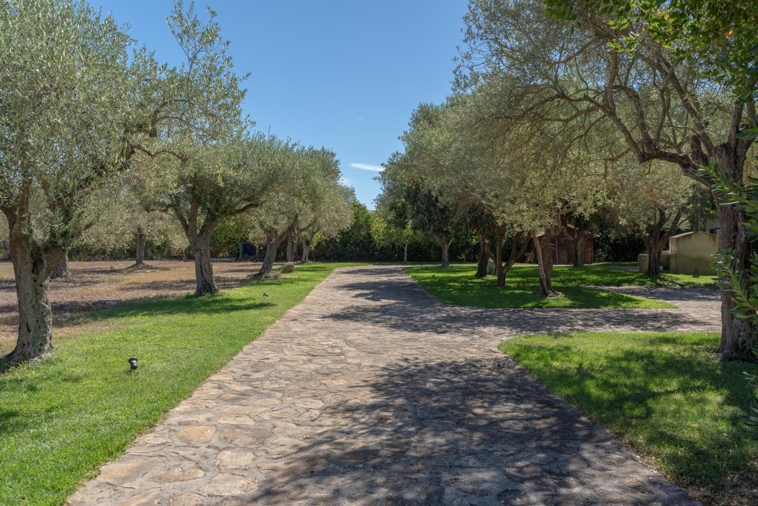 Villa Rucchetta