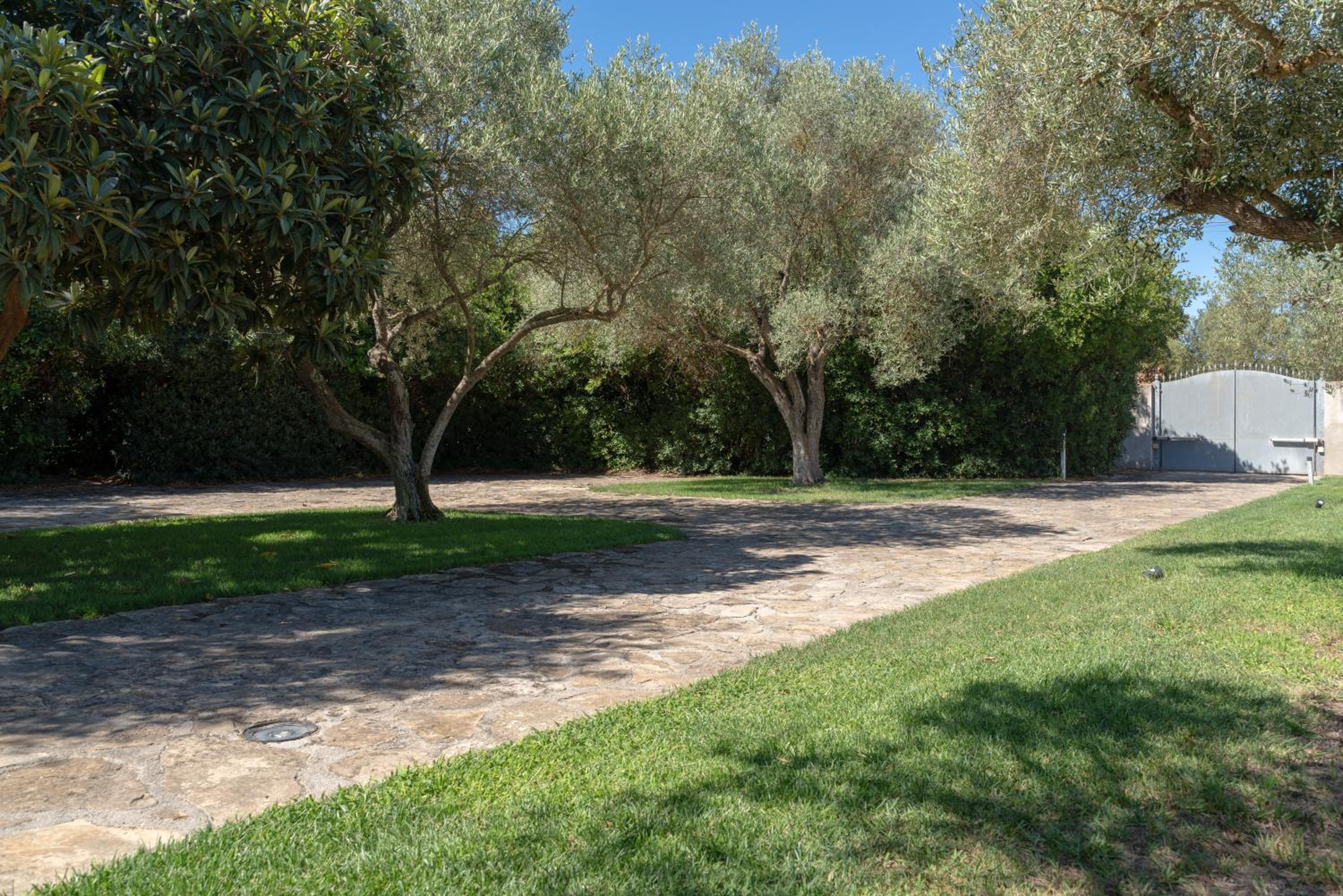 Villa Rucchetta