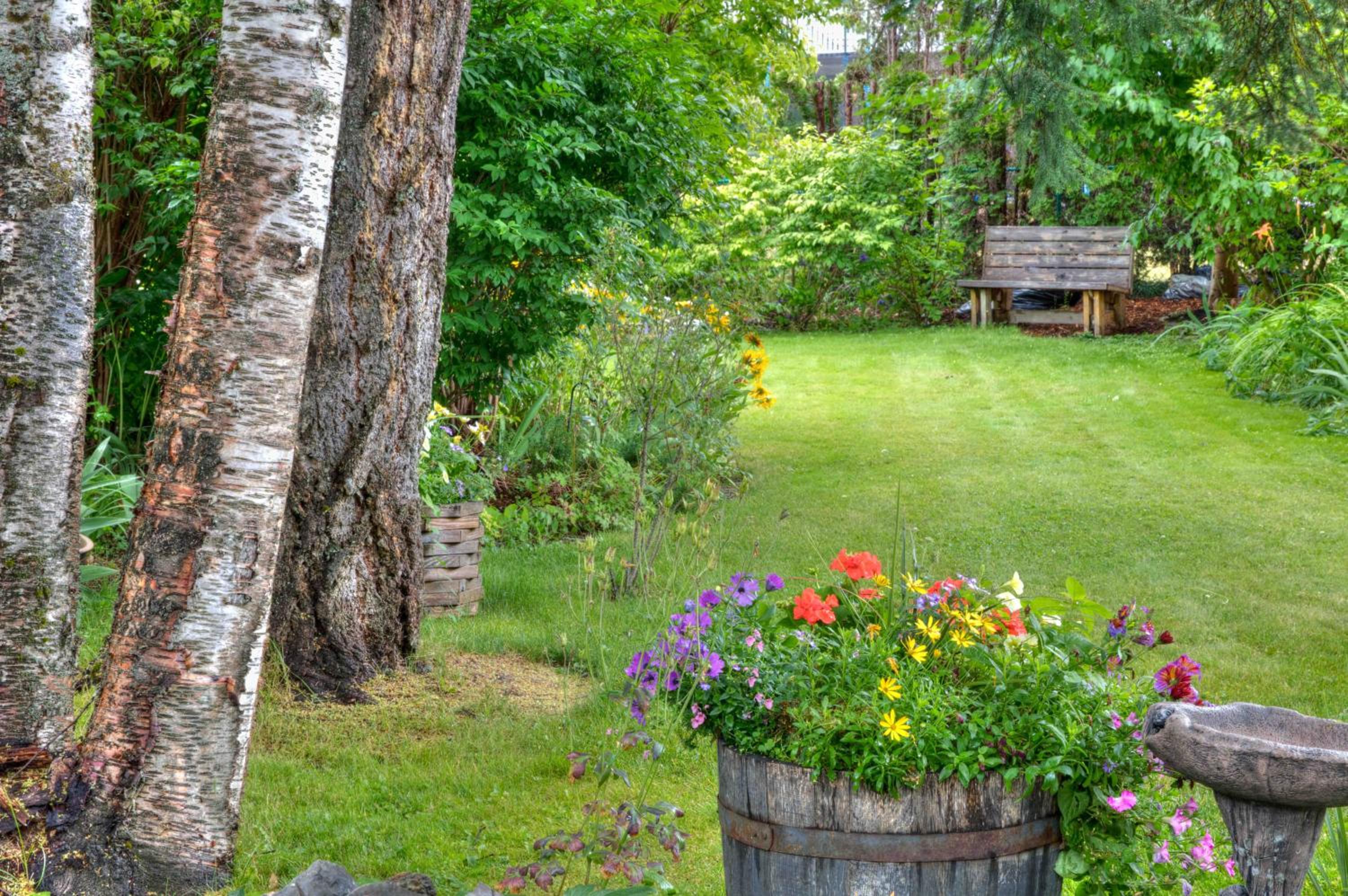 Hummingbird Bed and Breakfast