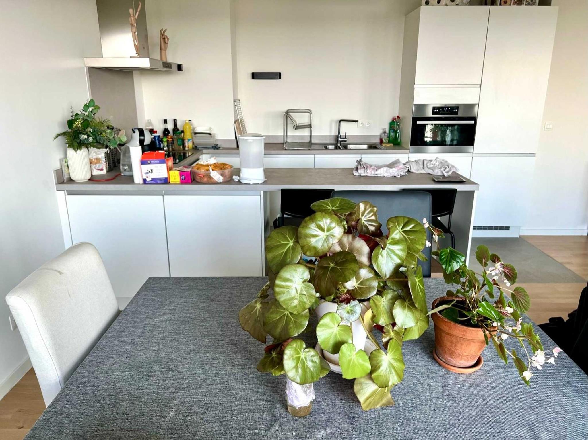 Family-Friendly Apartment Steps from Atomium - City Center 6 min