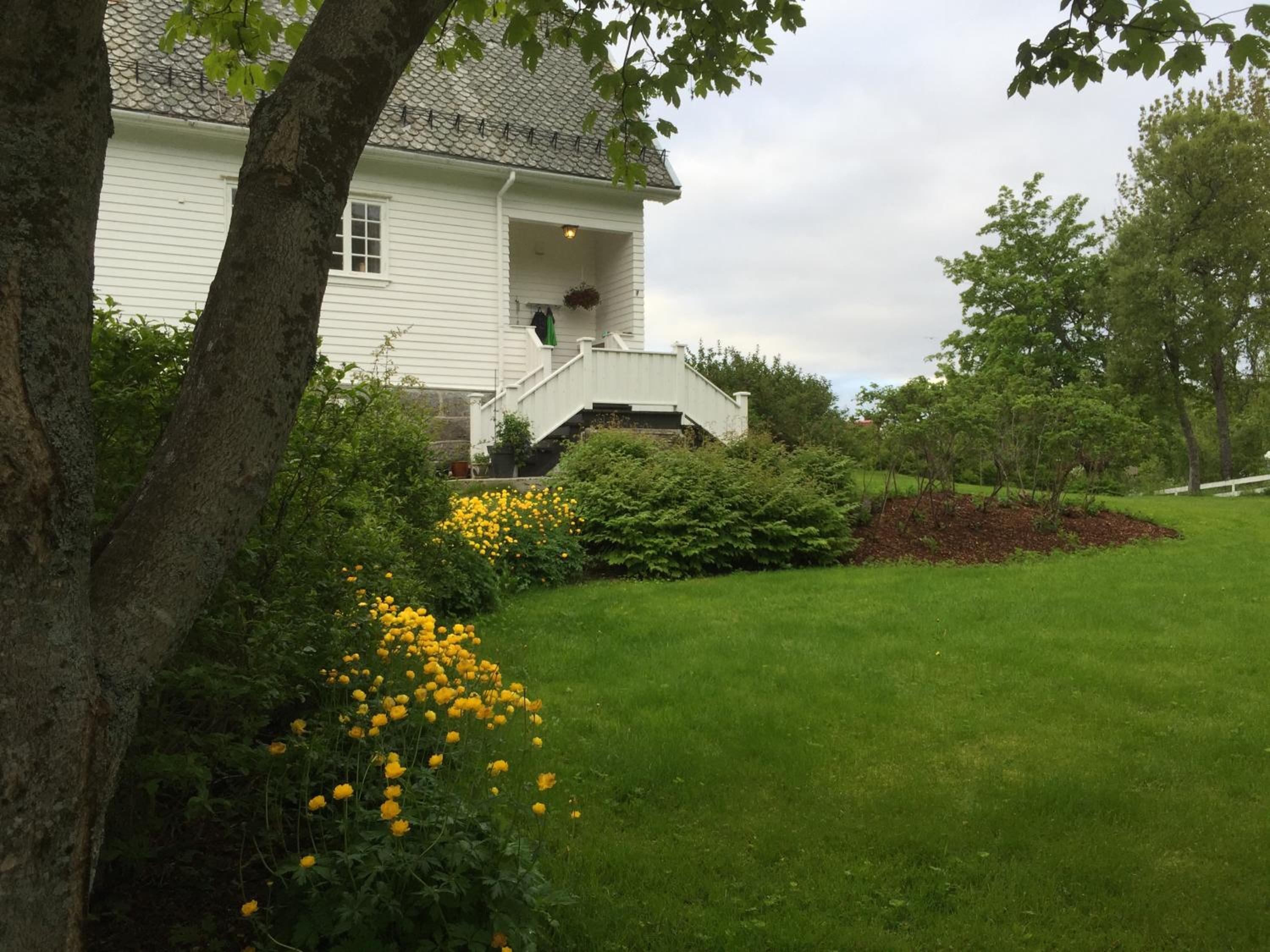 Photo 6